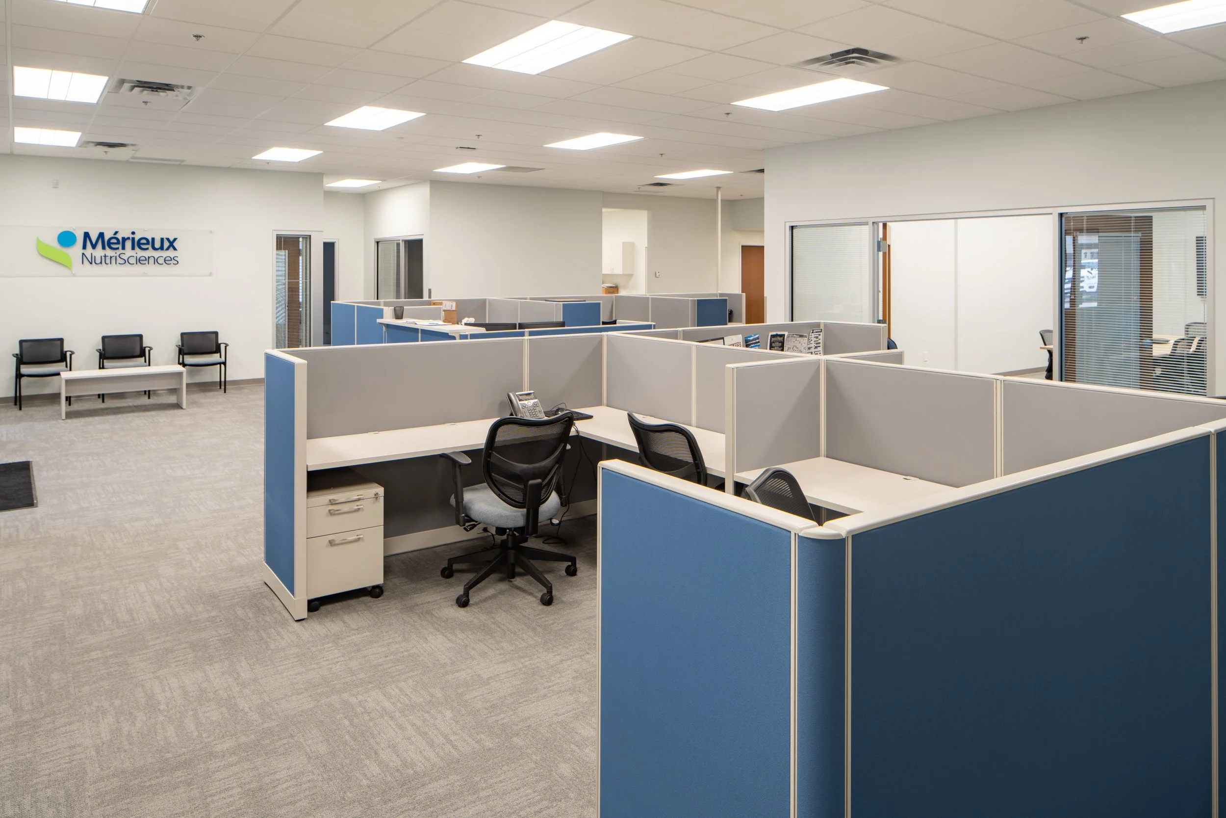 G4 Construction Management completed office tenant improvement with blue workstations, reception seating, and private offices.