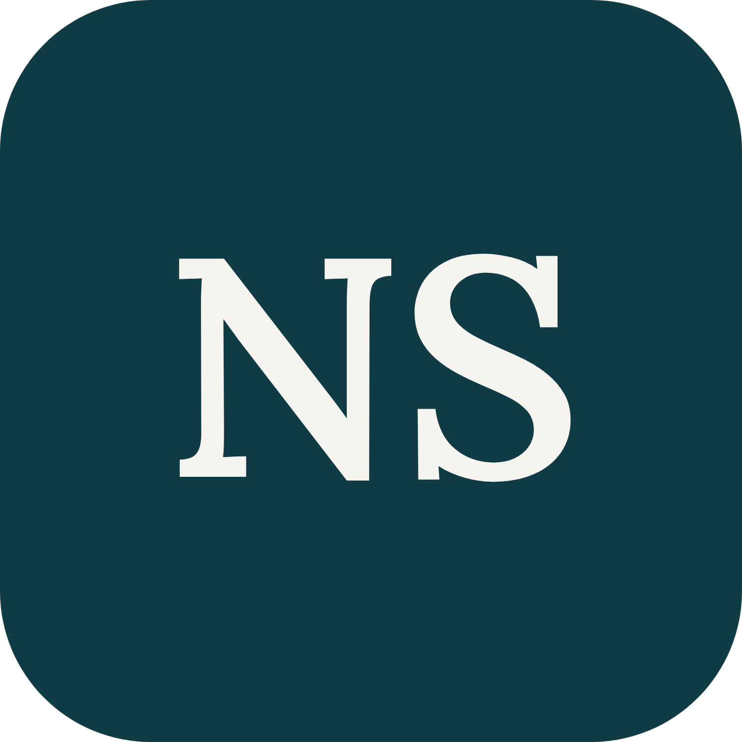 Natalie J Schneider Consulting