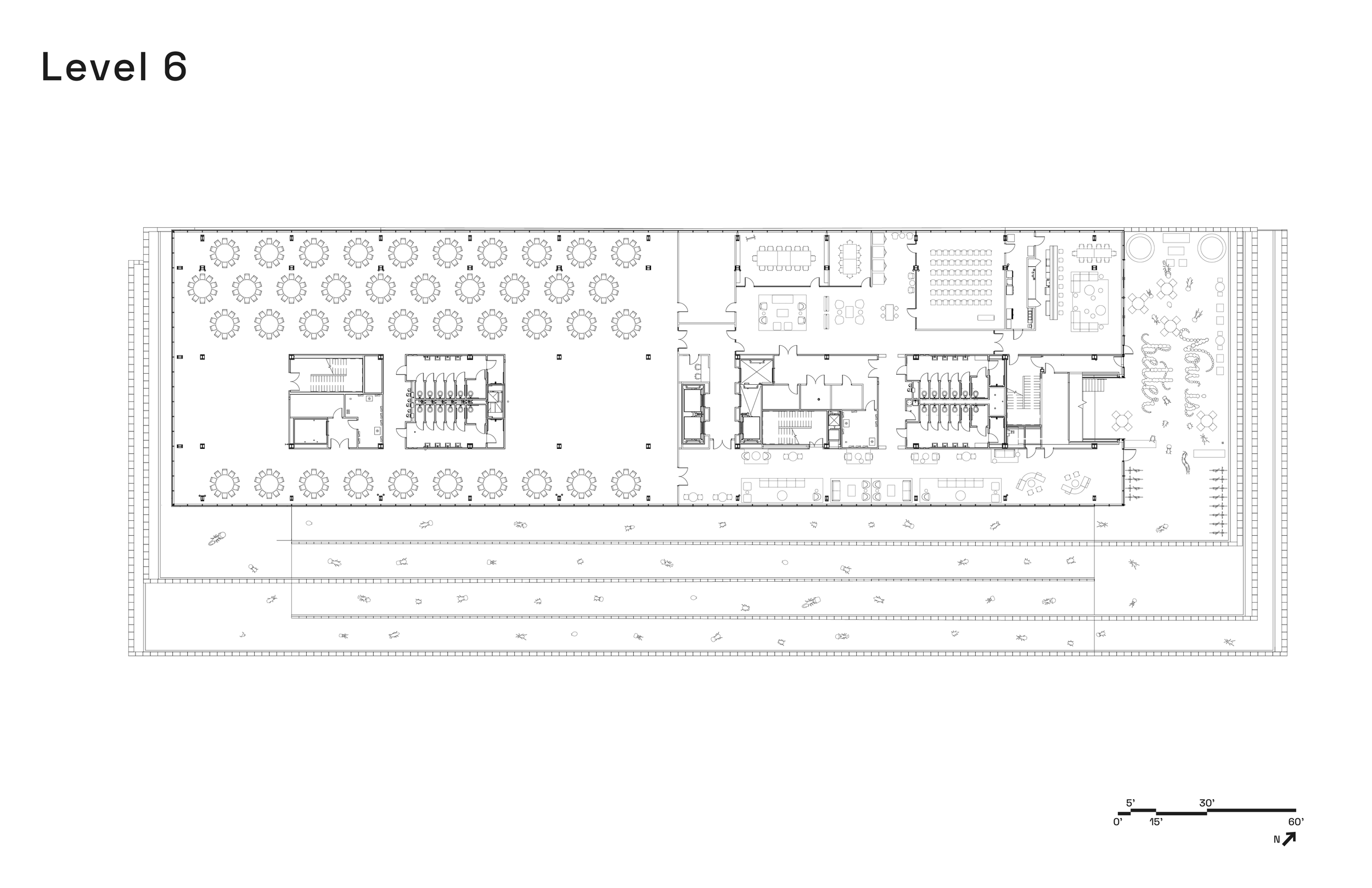 Ledger_Level 6.png