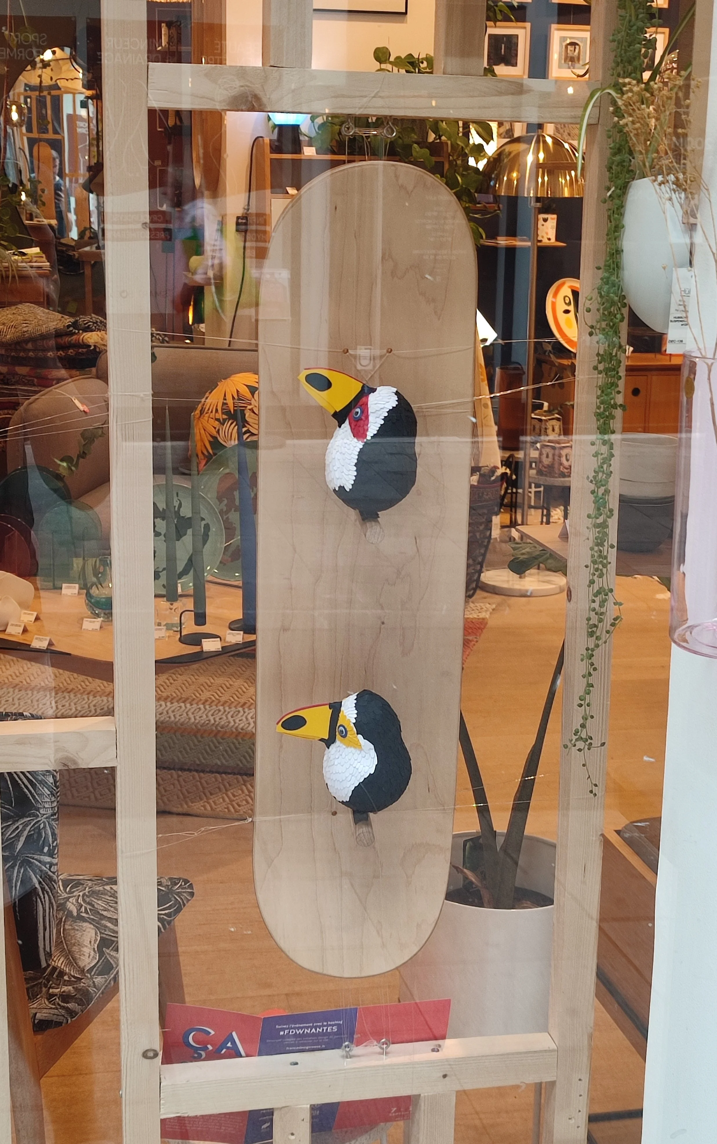 Urban Toucan