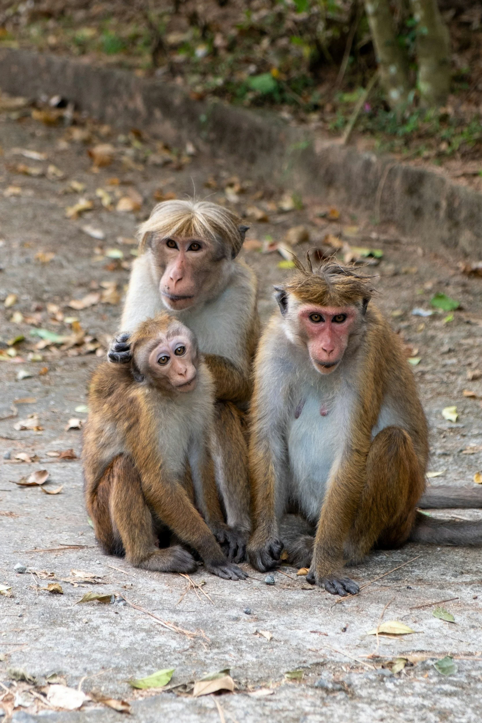 Quelle est la place de la famille dans mon univers ?