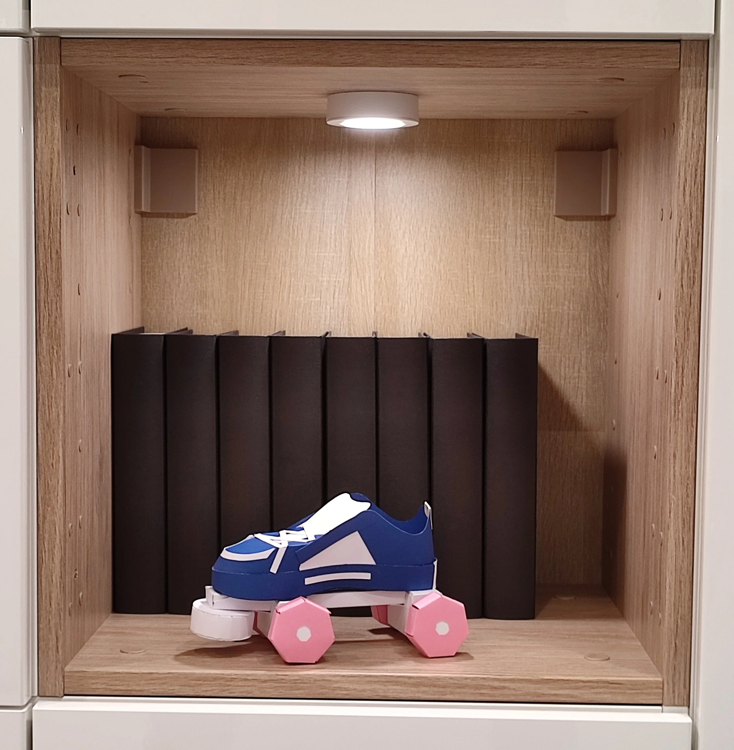 Patin à roulette niche