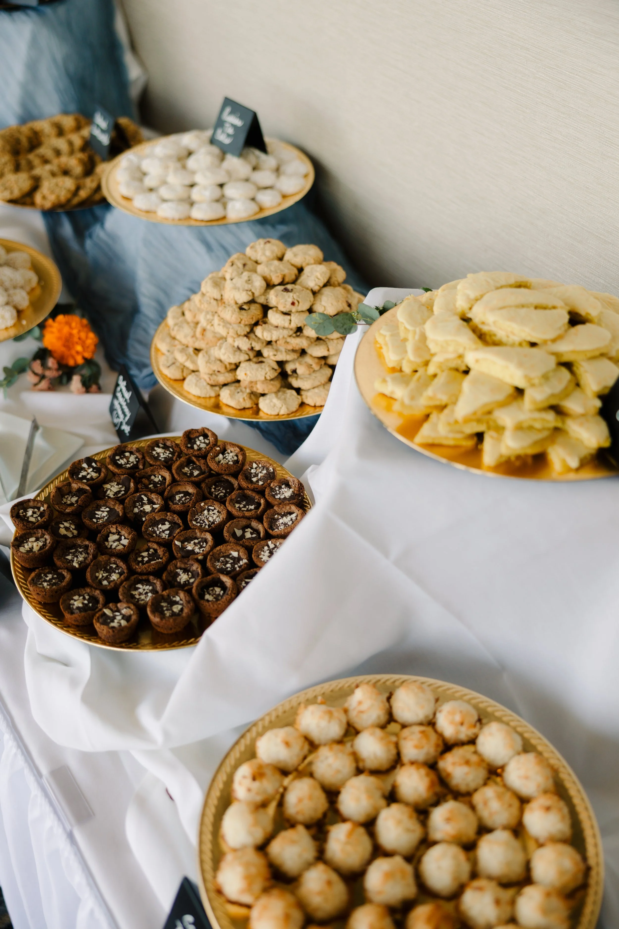 Photo Credit: Alexa Frankovitch Photography