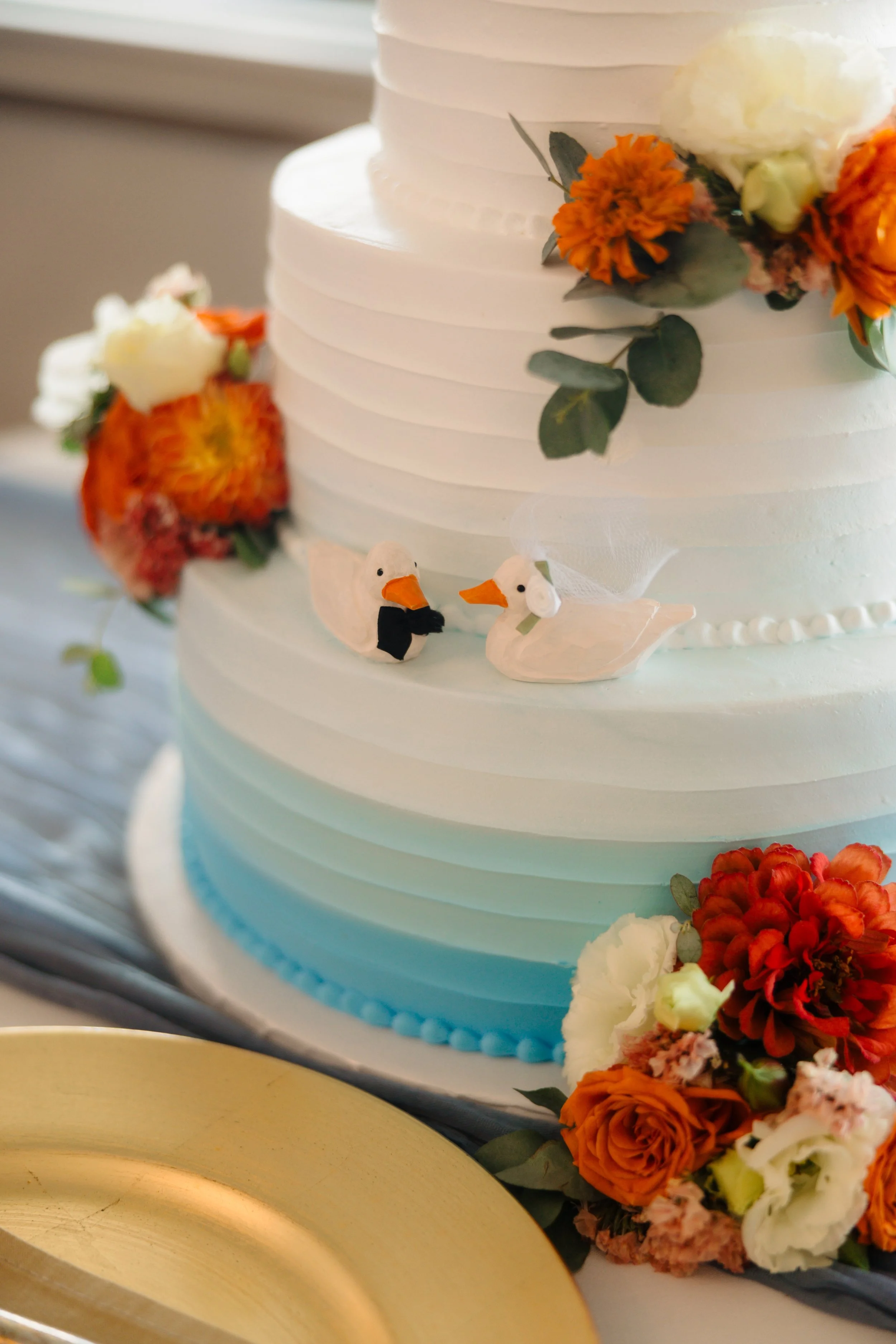 Photo Credit: Alexa Frankovitch Photography