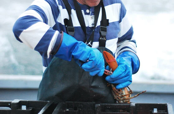 Fishing &amp; Lobster Trips