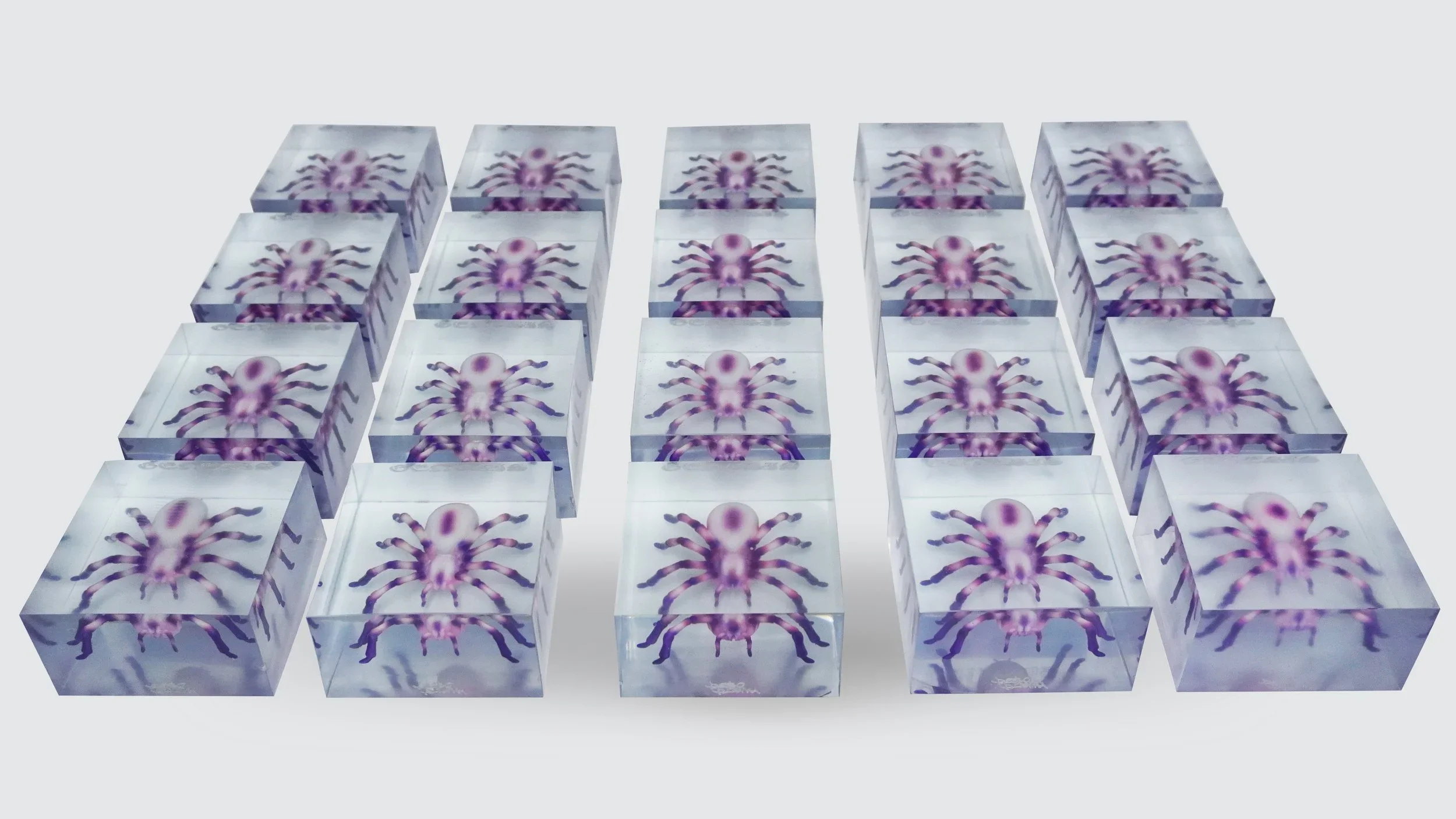 Multiple 3D cube sculptures with purple crab designs on transparent surfaces arranged in rows.