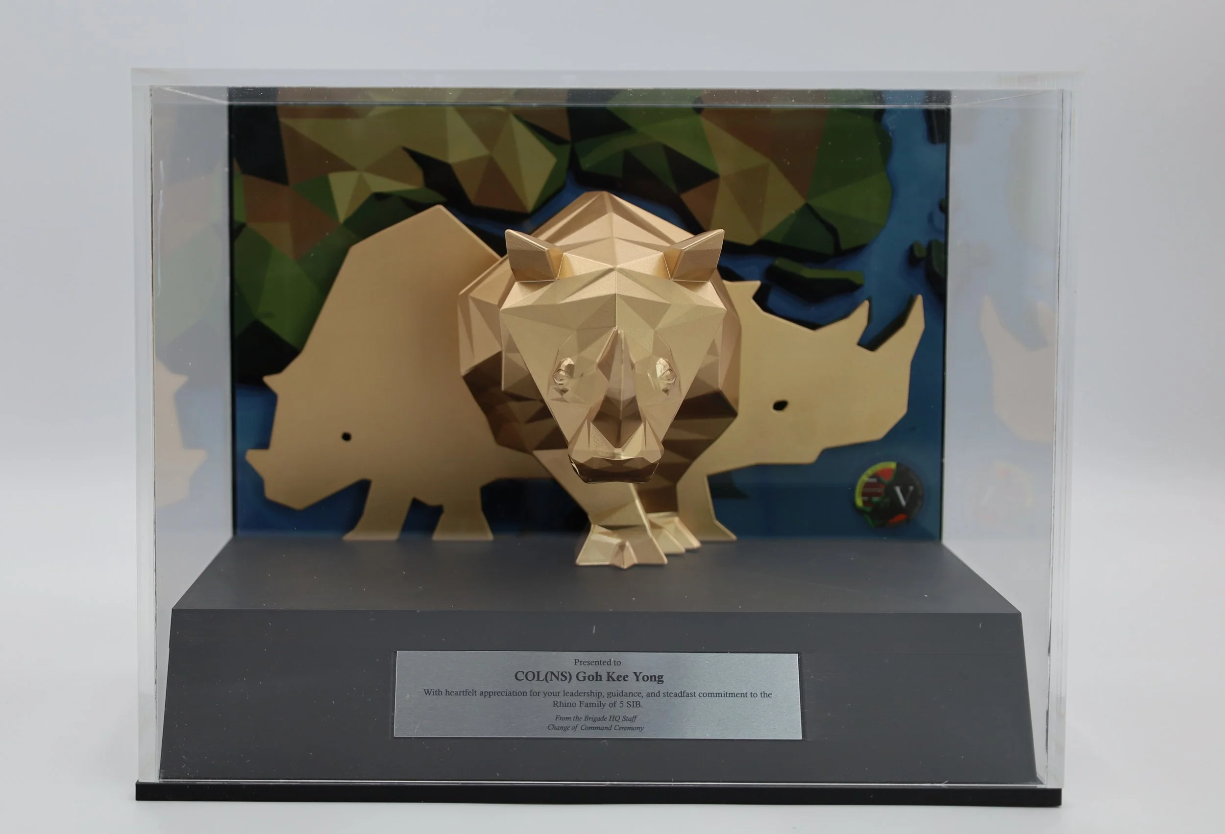 Front view of a 3D printed golden rhino on a black base plate with a metal name plate, encased in an acrylic box
