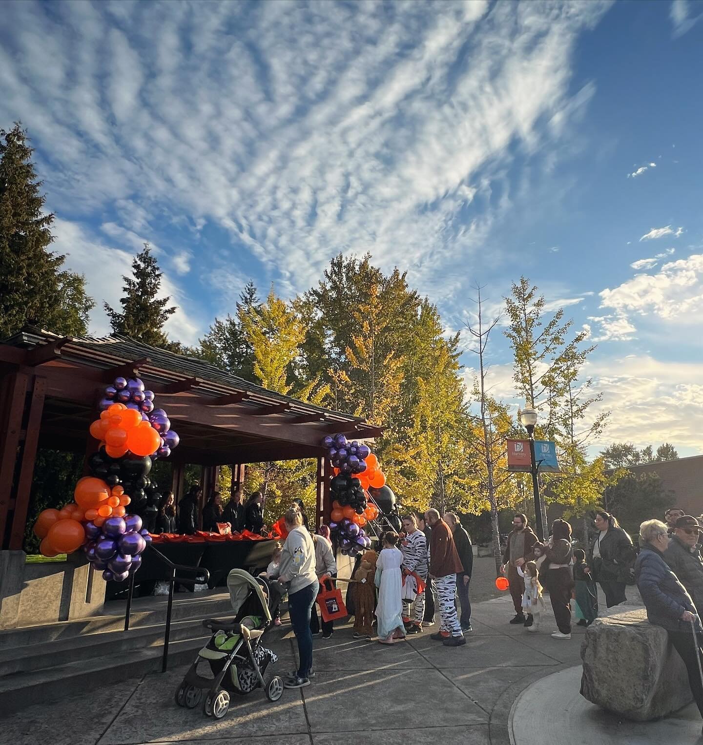 Remember all the Halloween fun we had just a few short weeks ago? We are hard at work planning another amazing events season here at Barkley Village for 2024!! #barkleyvillage #villagelife #ittakesavillage #bellingham #bellinghome