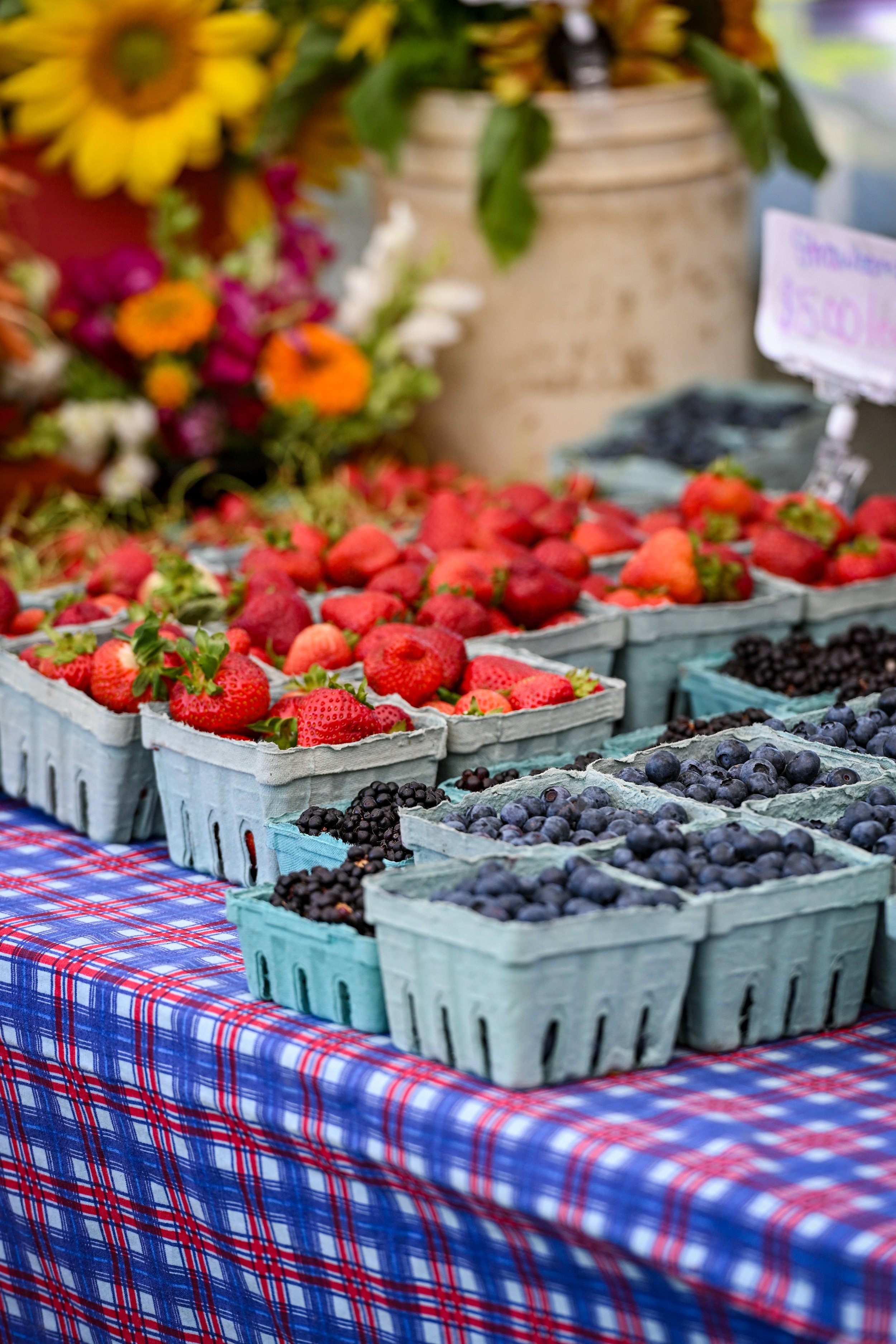 Barkley Market