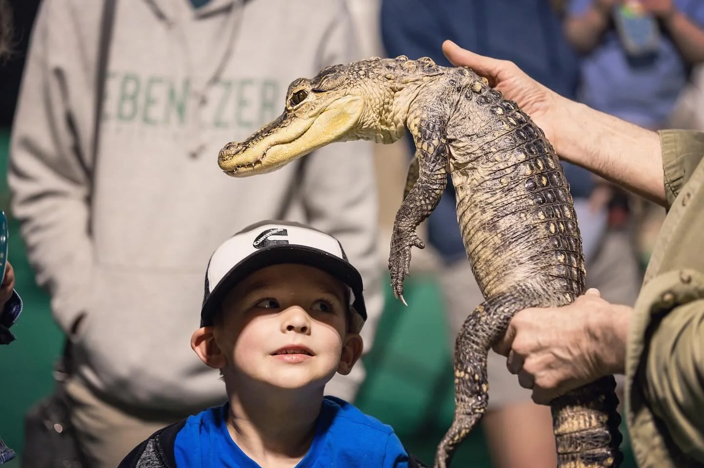 The Reptile Man will be kicking off our very first Play Days on the Plaza this week Wednesday, July 16 at 10am. Join us on our the Barkley Village Plaza (by Woods Coffee) for lots of family fun!