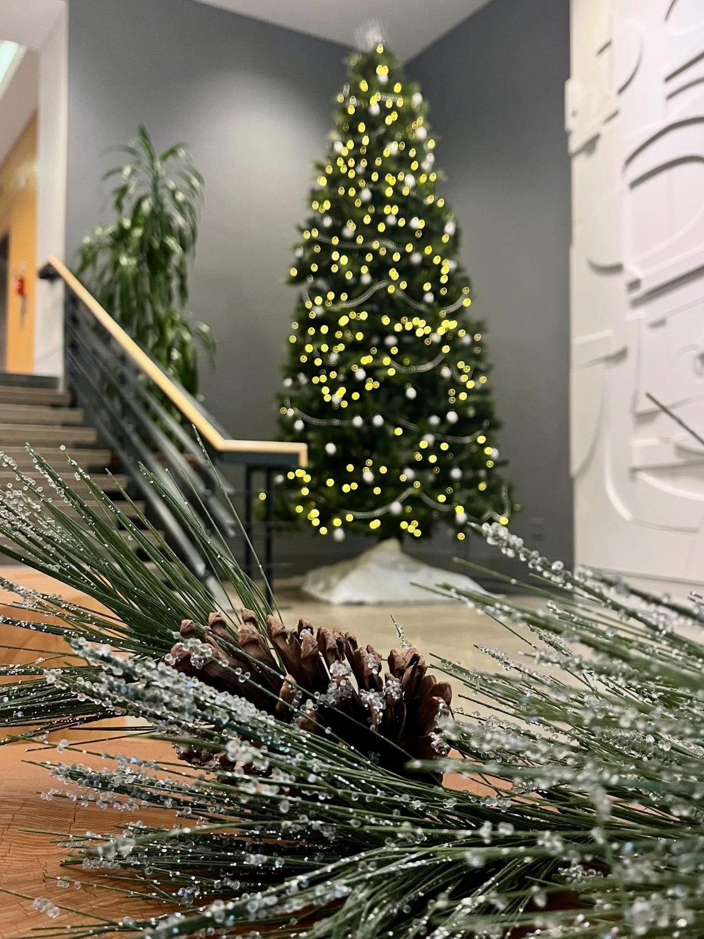 Barkley Village is a wonderful place to work, live and explore!
From walkable streets to local shops, seasonal decor, fitness opportunities and paths, and community events, this neighborhood was built for connection. The holiday lights are glowing, o