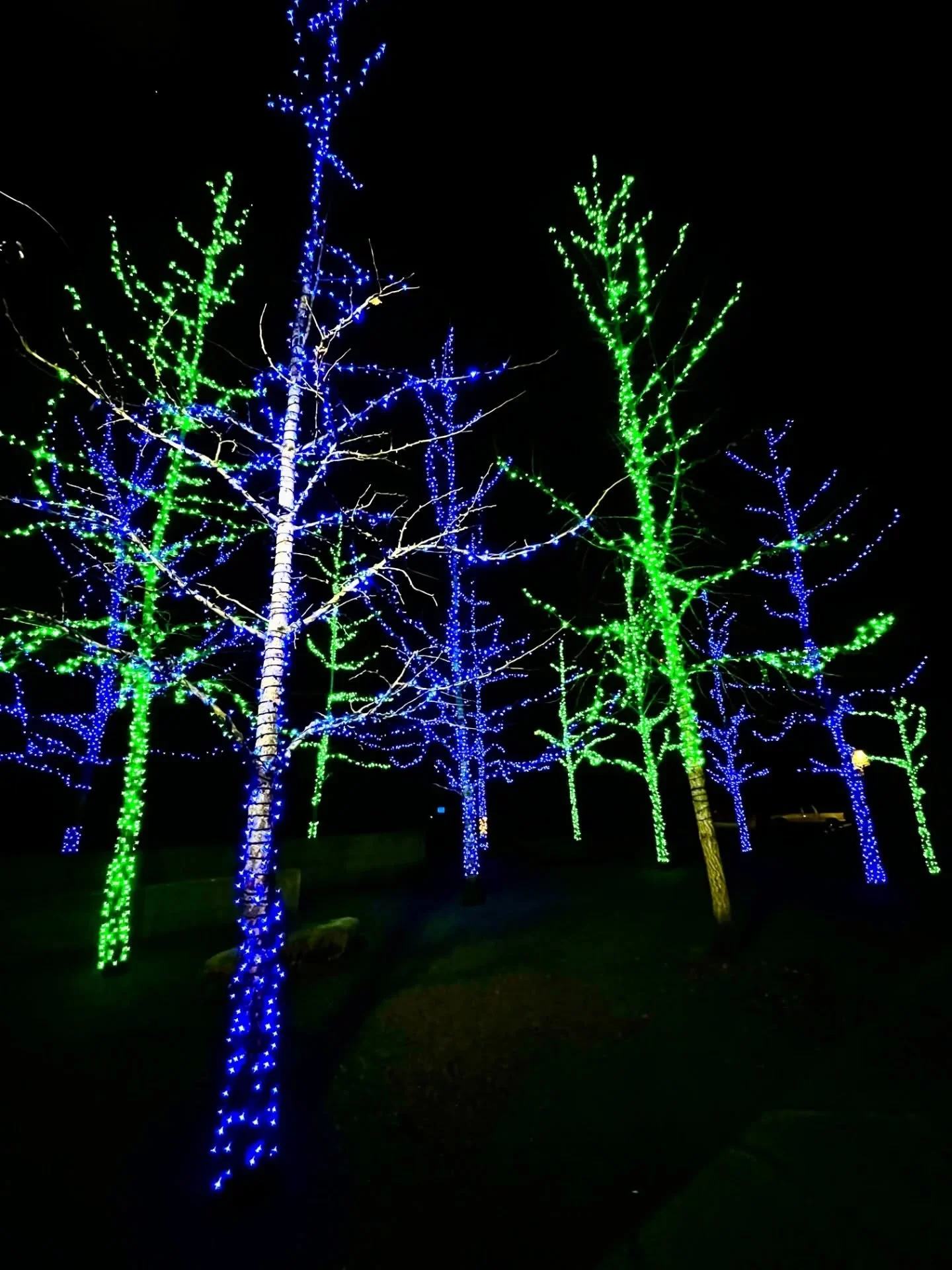 We're getting into the game-day spirit with Seahawks-colored lights around the village! 

This Sunday, whether you're watching the game or just enjoying the energy, here's what's happening: 

🏈 @overflowtaps &mdash; watch the game with $5 draft beer