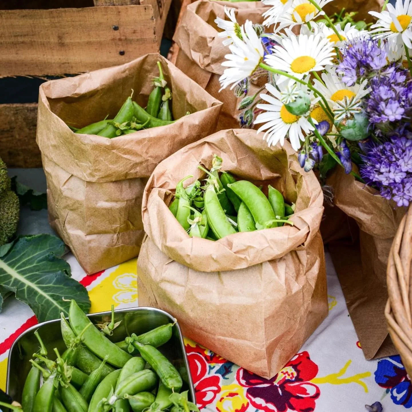 Barkley Market vendor applications are now open! We're looking for local growers, makers, and food vendors to join us on the Village Green every Thursday this summer (July &amp; August).

 If you grow it, make it, or cook it, we'd love to have you! 
