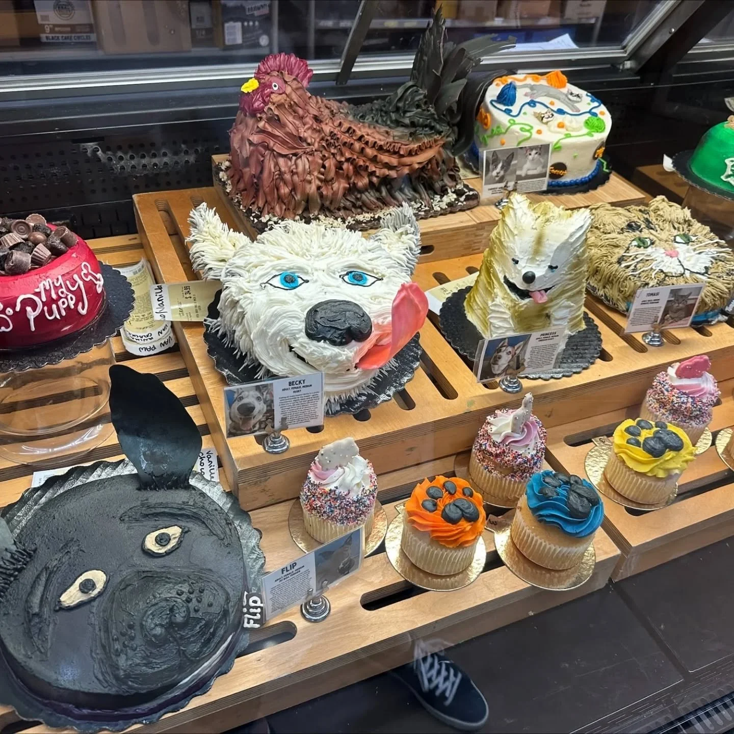 🎂🐾 Who remembers those incredible animal cakes at Barkley Haggen last summer?

Last week at the Woof &amp; Whiskers Award Luncheon, cake decorator Desiree and the Barkley @haggenfood were recognized by @whatcomhumanesociety for decorating cakes and