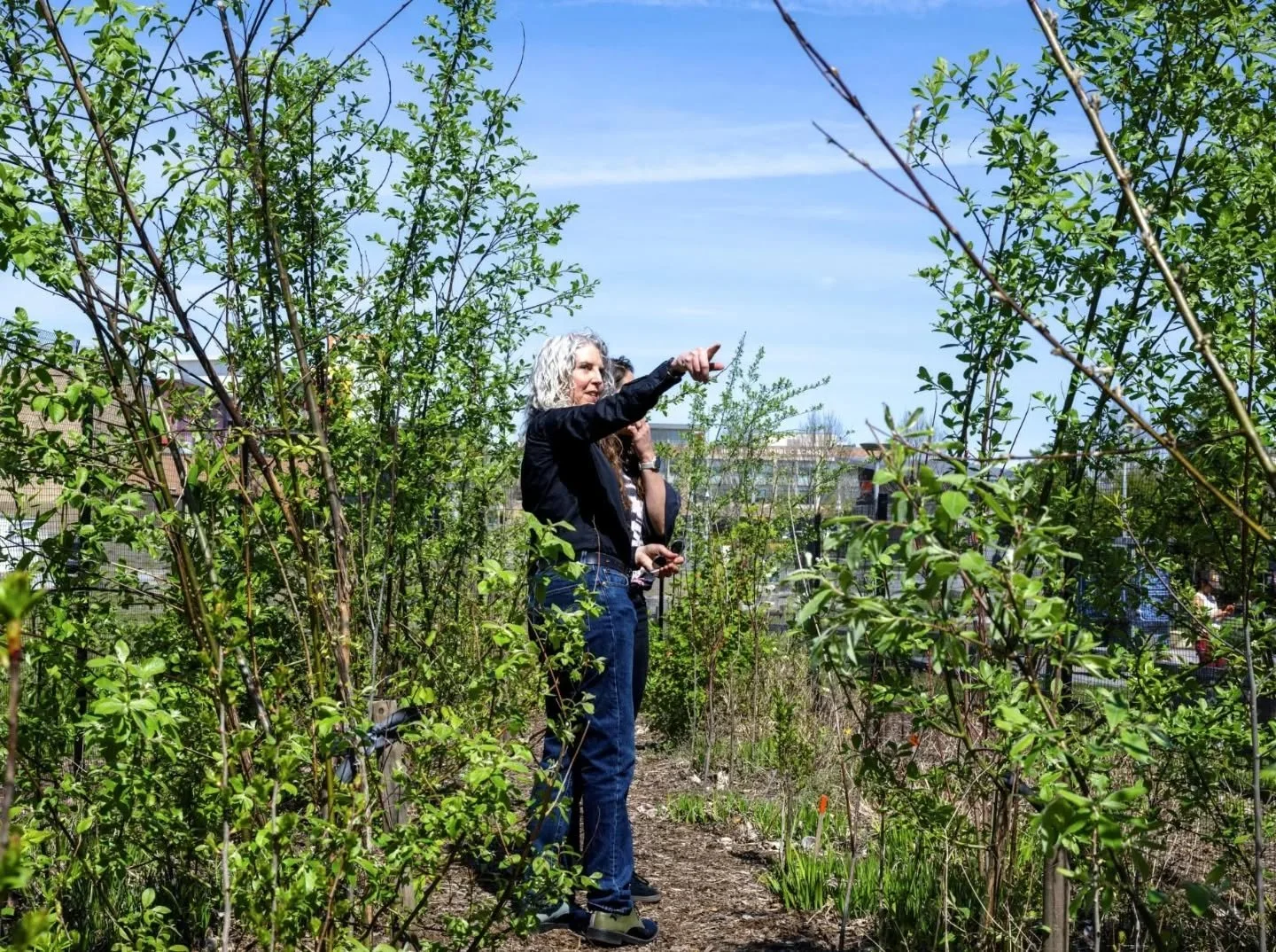 What a difference a year can make! 🌱

Last spring, dozens of volunteers planted nearly 800 native plants next to Scramble Nature Playpark. One year later, it&rsquo;s already starting to look like a forest.

We caught up with @whatcommilliontrees  Ex