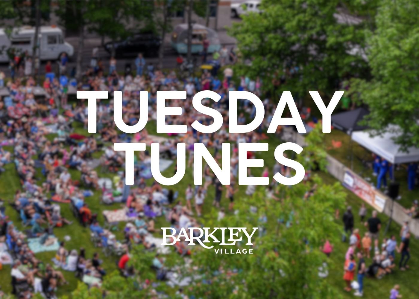 Tuesday Tunes featuring The Walrus