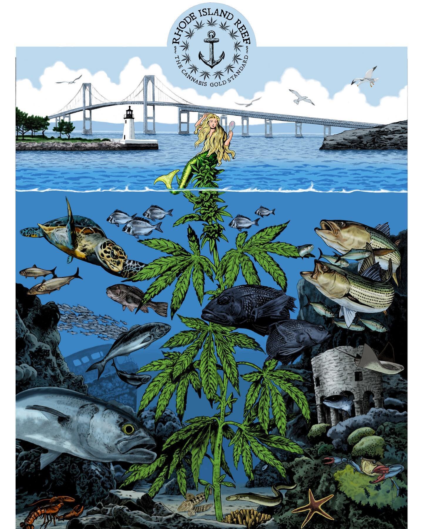 The name and mission of Rhode Island Reef are inspired by the symbiotic relationships that exist within the ecosystem of a coral reef &ndash; where individual organisms work together and contribute to the success of the greater whole. At Rhode Island