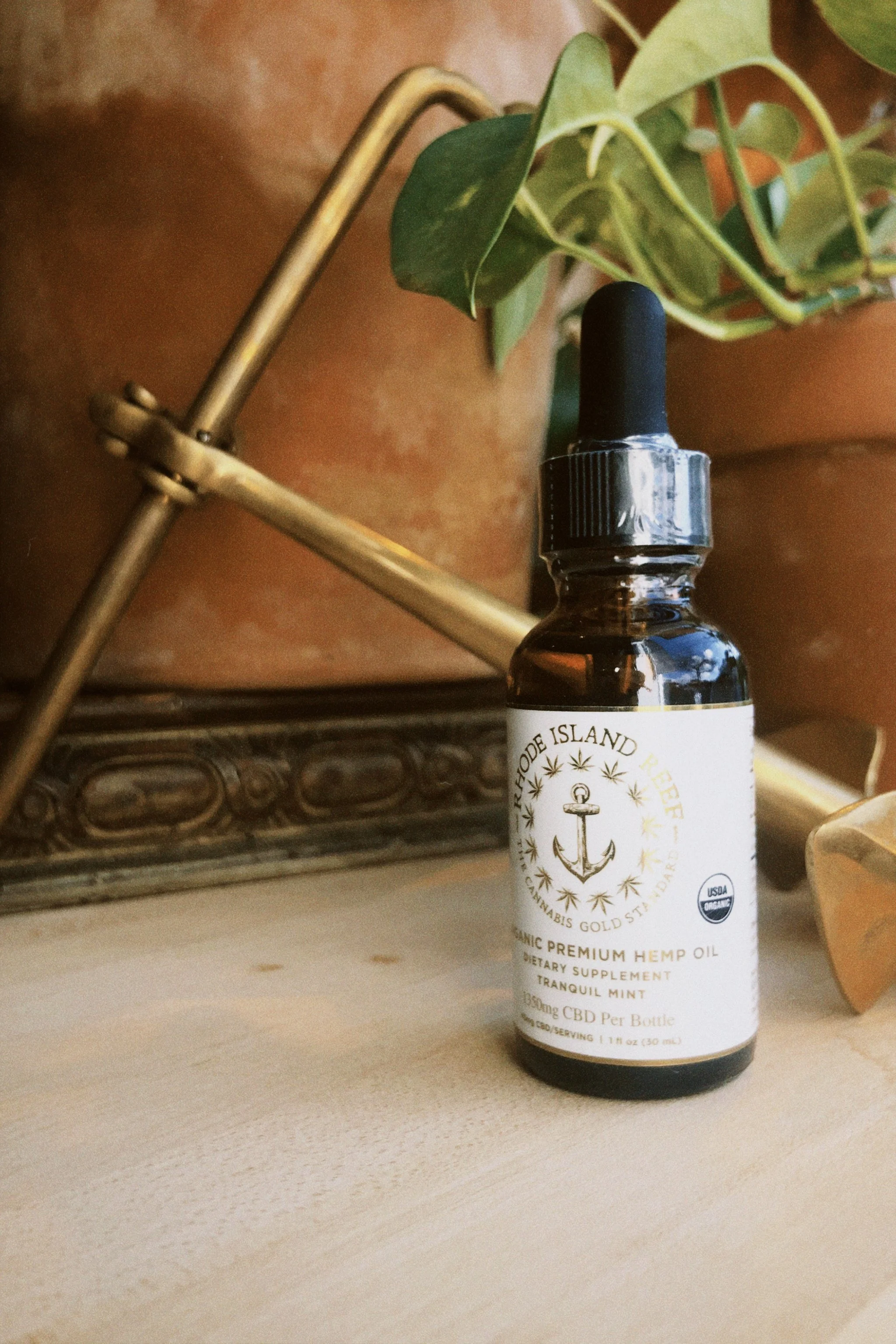 classicu 2021-01-18 124342.587.JPG