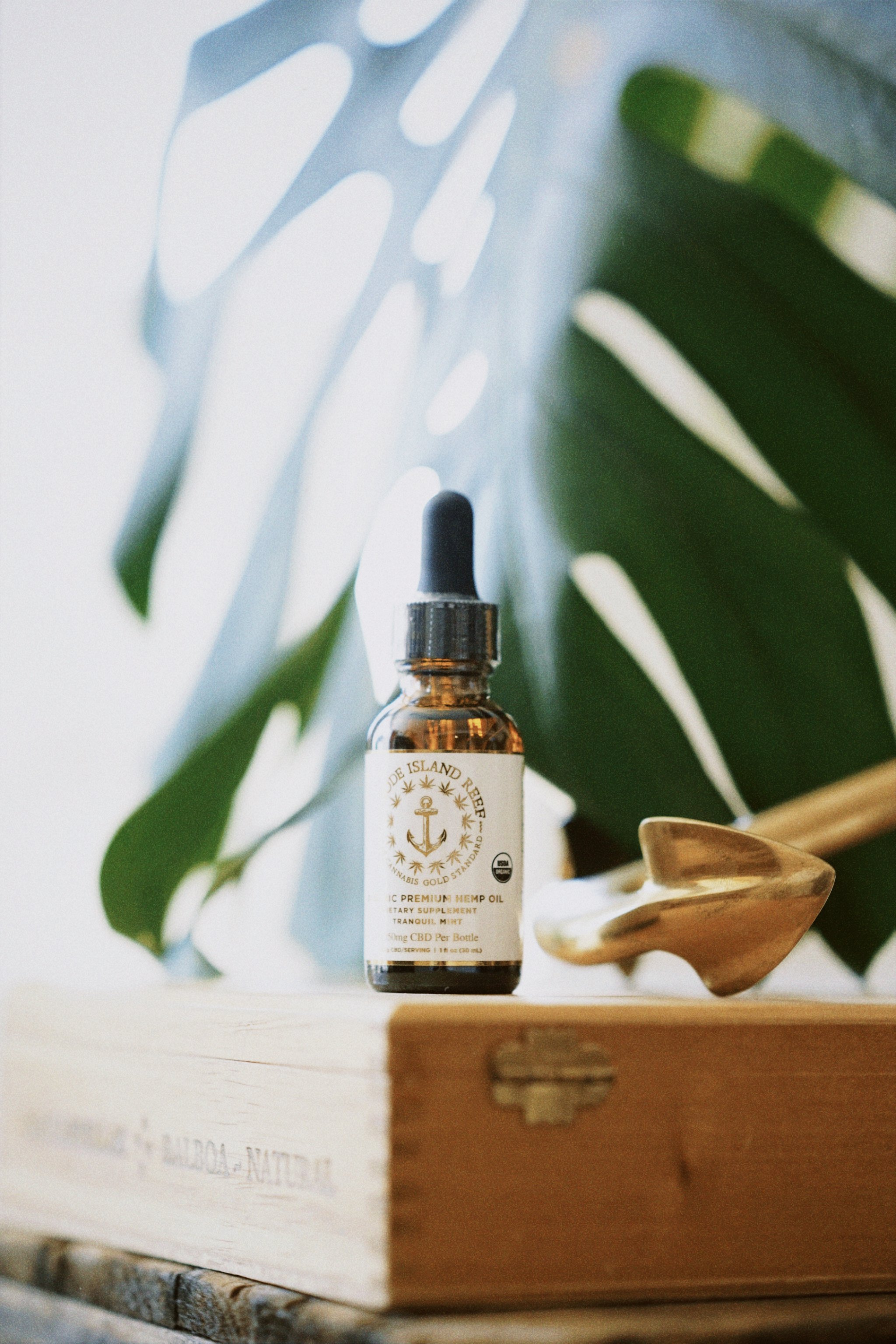 classicu 2021-03-30 133216.857.JPG