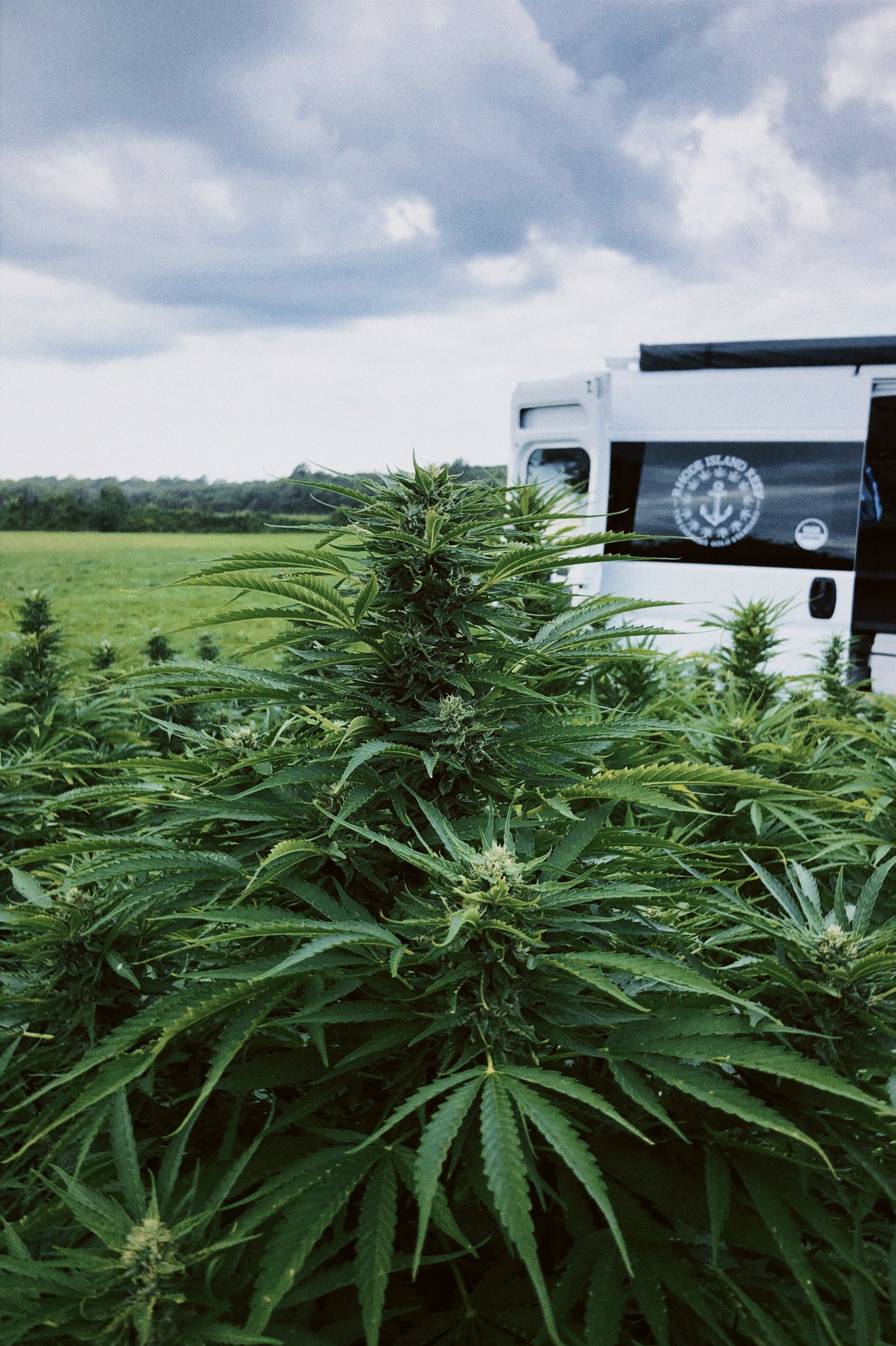 classicu 2021-09-08 170323.324.JPG