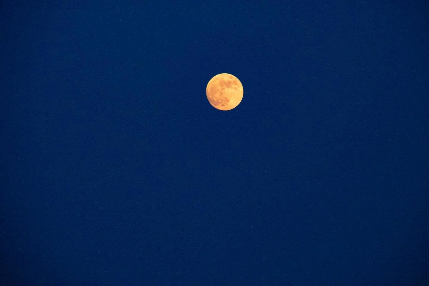 Our moon is as important to the Earth’s health, as hearts are to us.
The heart moves our blood.
The moon moves the tides.
—————————————————&