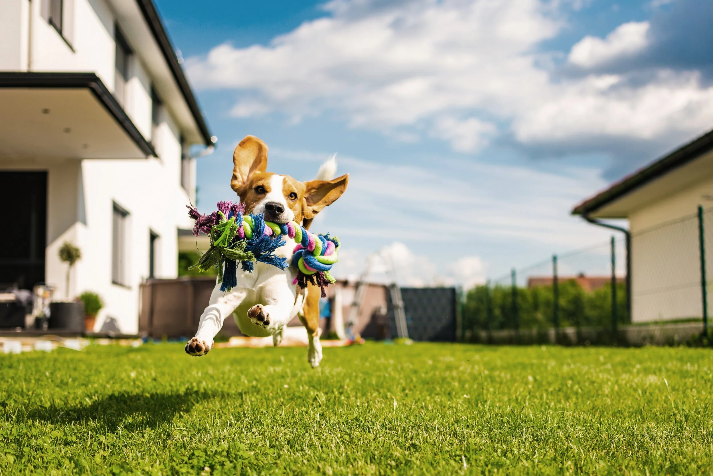 AdobeStock_271309137.jpg