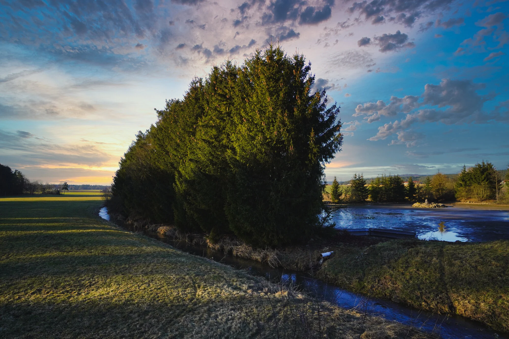 Aktuelles von draussen