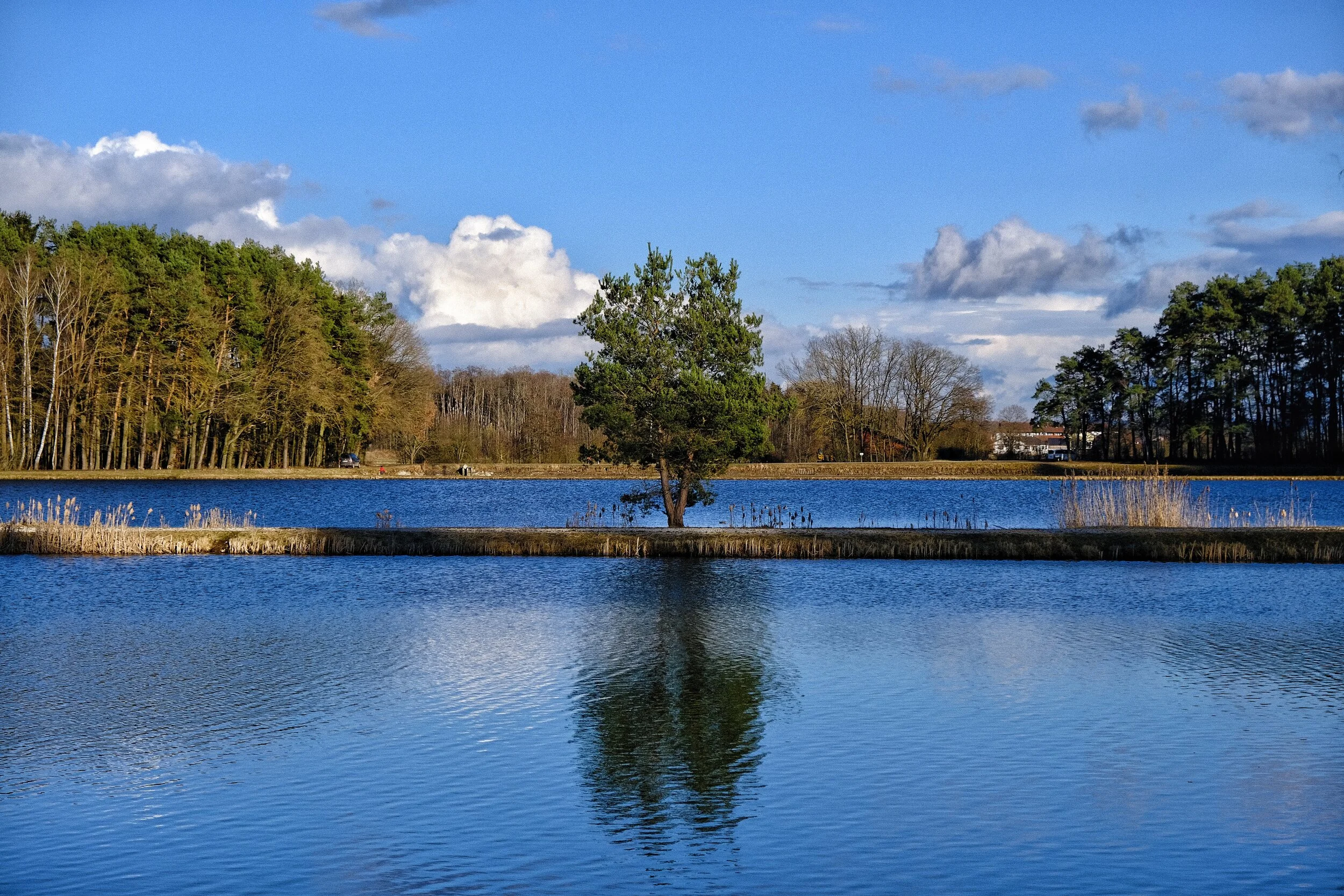 Weiherwelten im Himmelblau