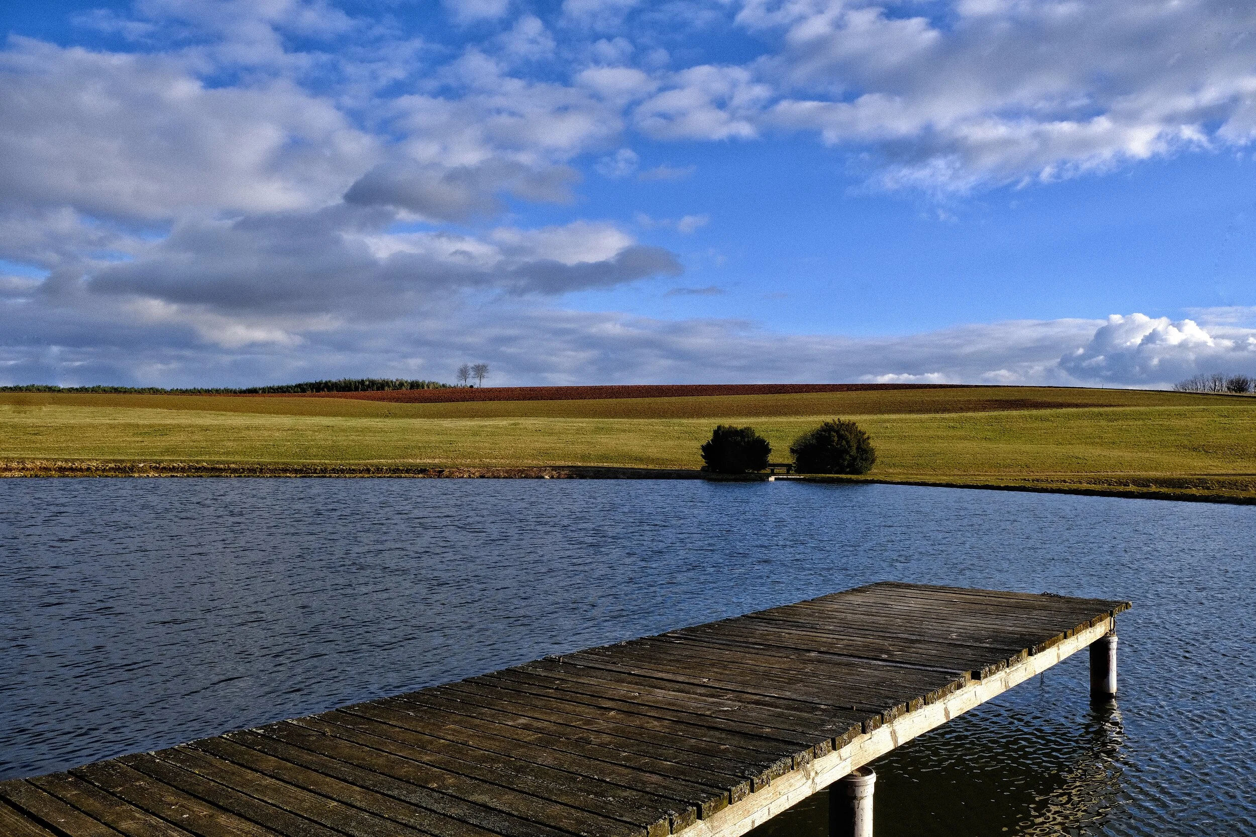 DSCF0248.jpg