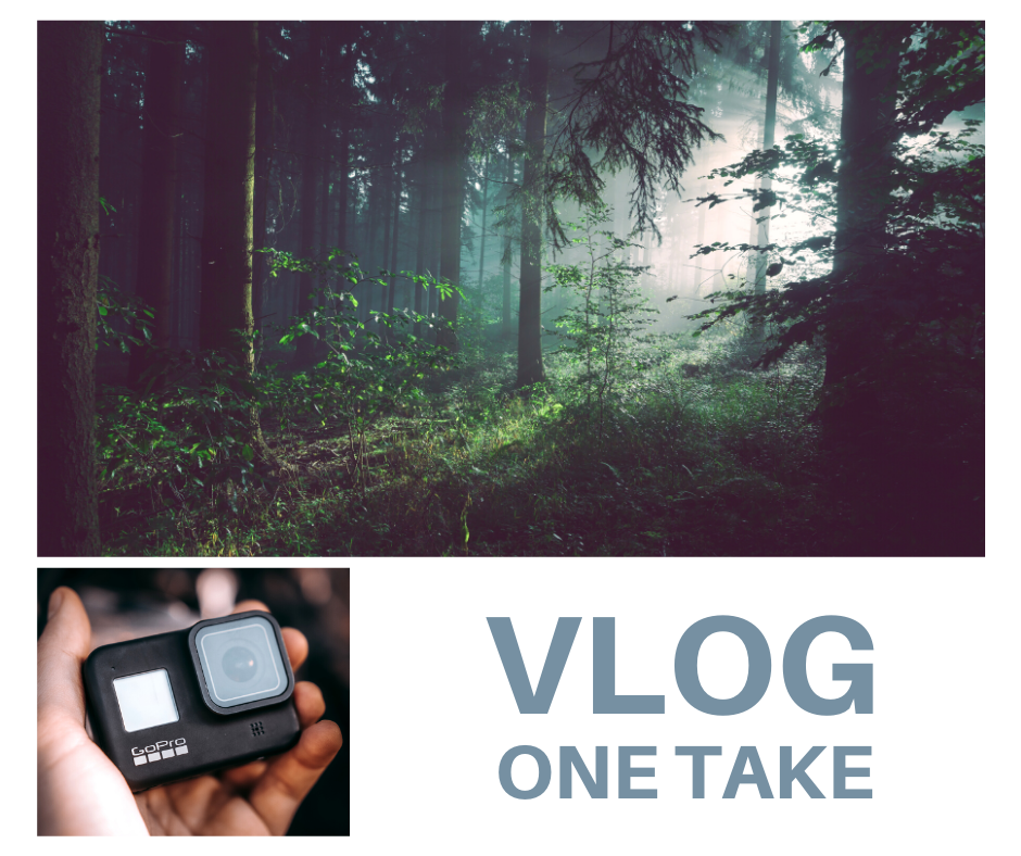 Mehr OneTake vLogs