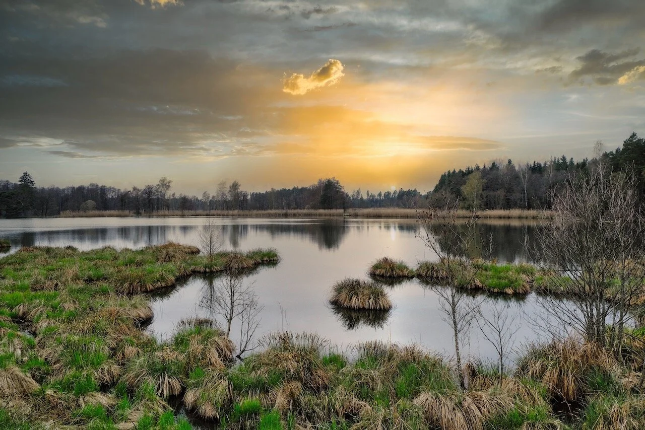 Goldene Stunde? - Am Arsch!