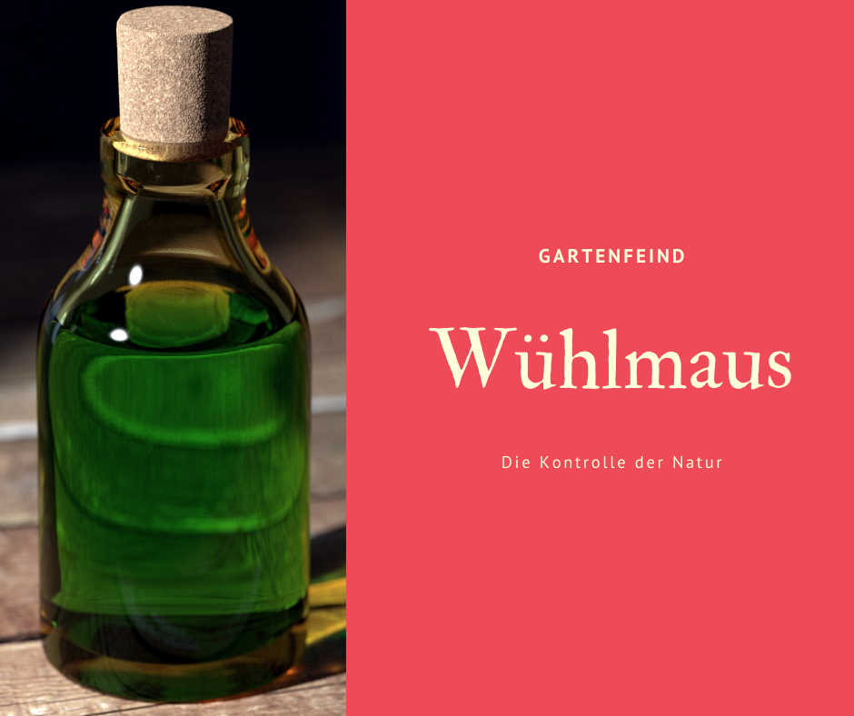 Wi wa Wühlmaus