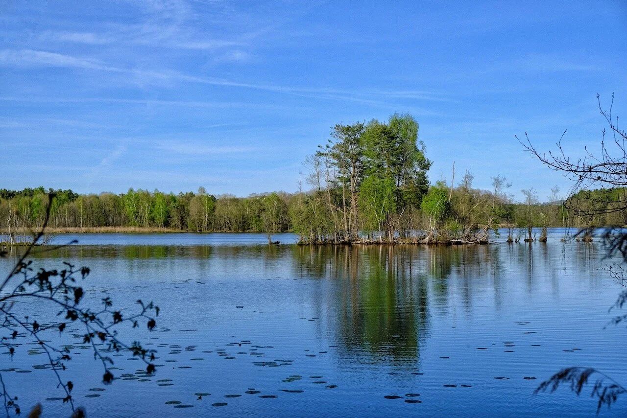 Weiherwelten am Abend