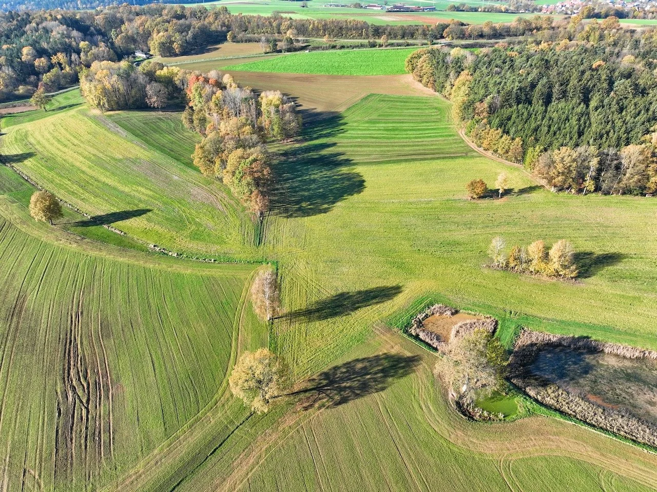 dji_fly_20221113_112726_43_1668335622885_photo.jpeg