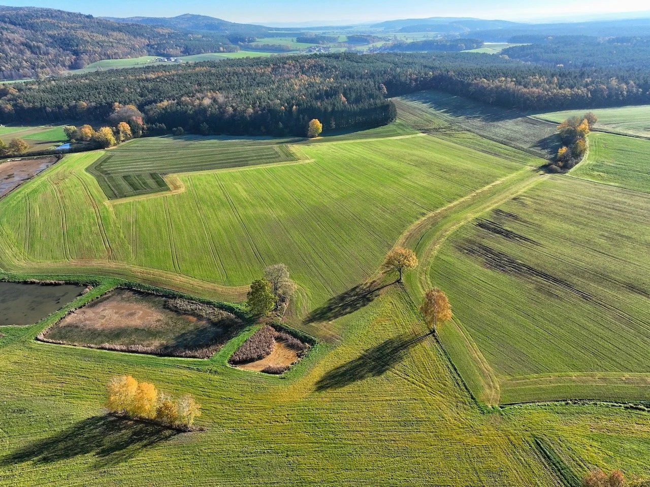 dji_fly_20221113_112610_39_1668335636333_photo.jpeg
