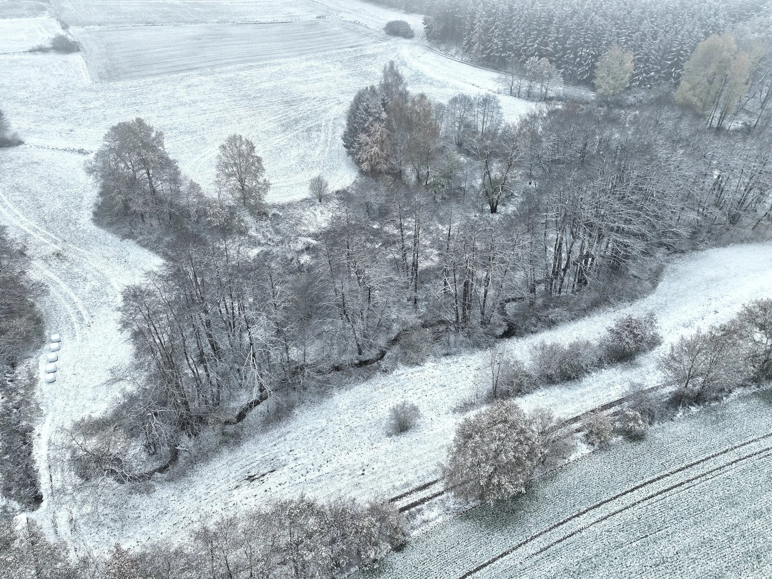 dji_fly_20221120_100320_71_1668935162739_photo.jpeg