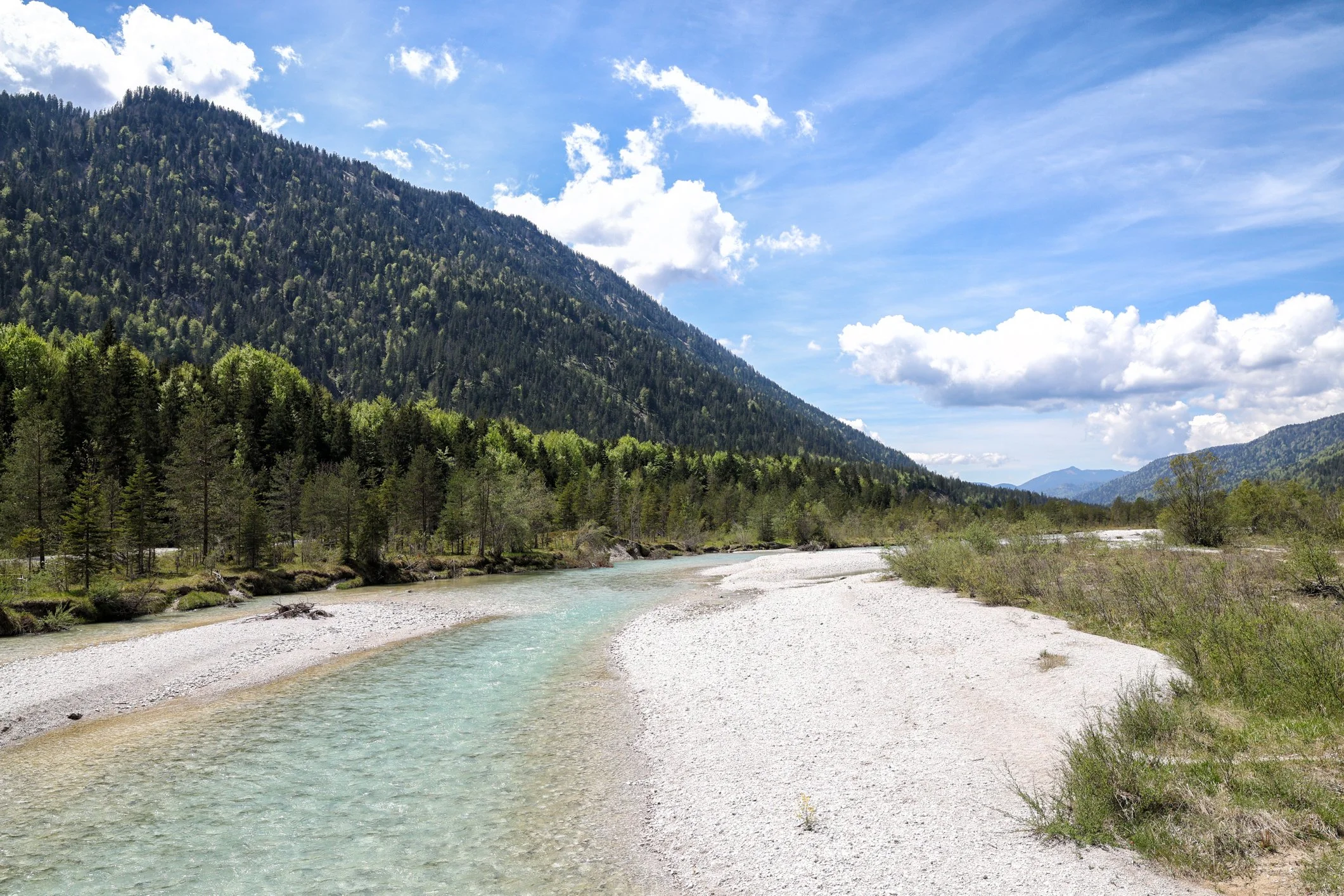 IMG_8841-Bearbeitet.jpg