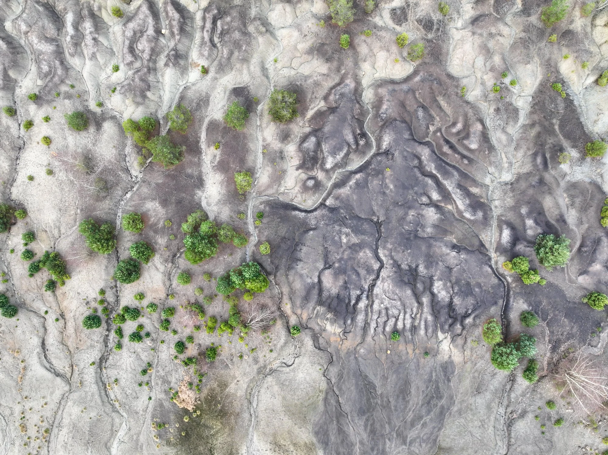 DJI_0717.jpg