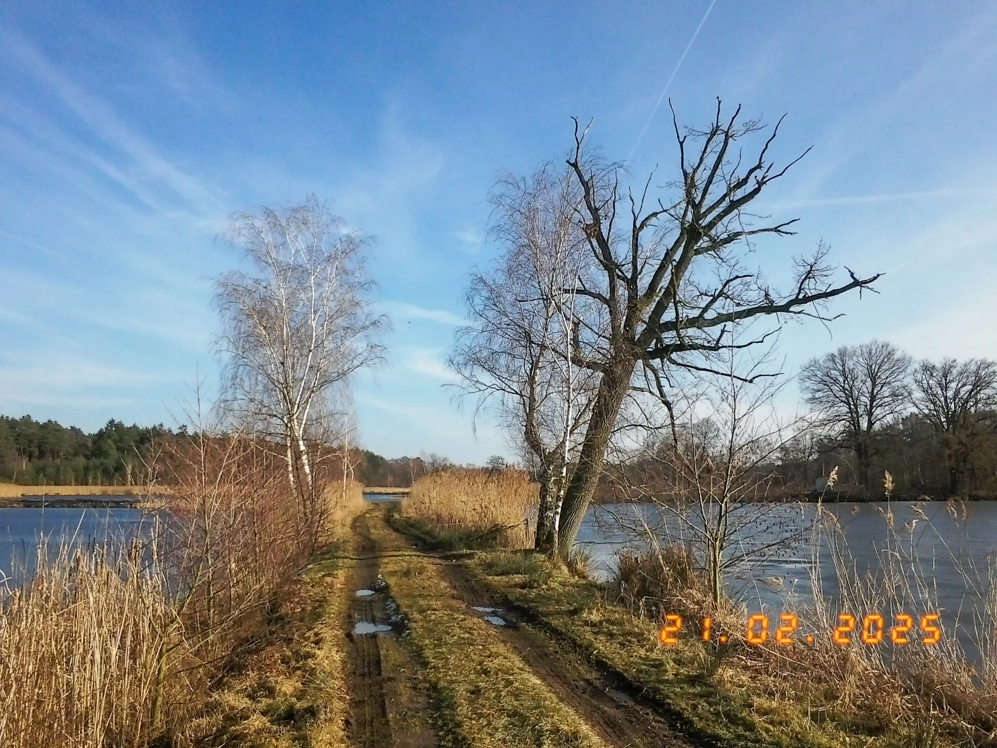 DSCF0080.jpg