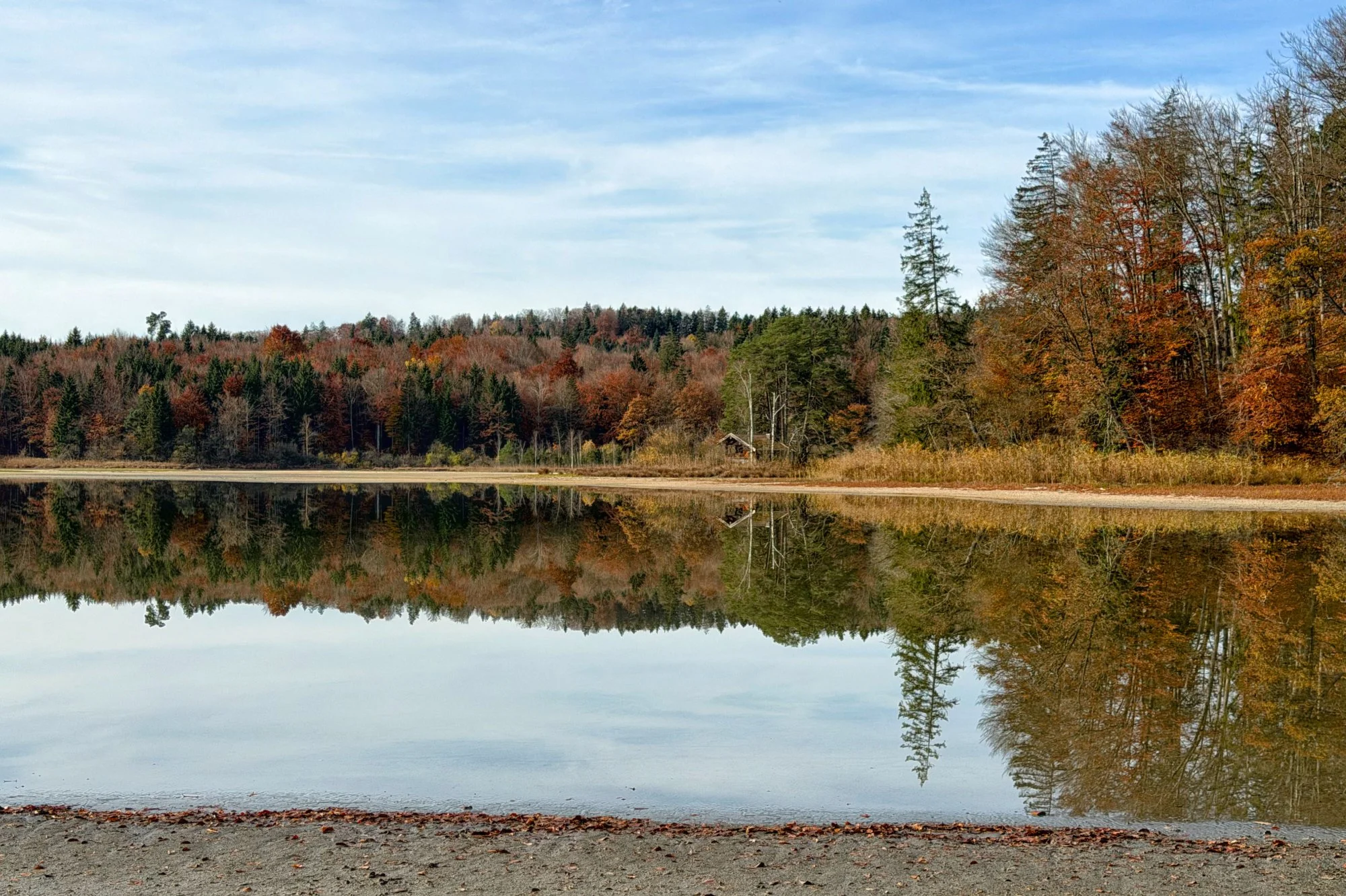 Verstecktes Juwel: Der Frechensee im Osterseegebiet