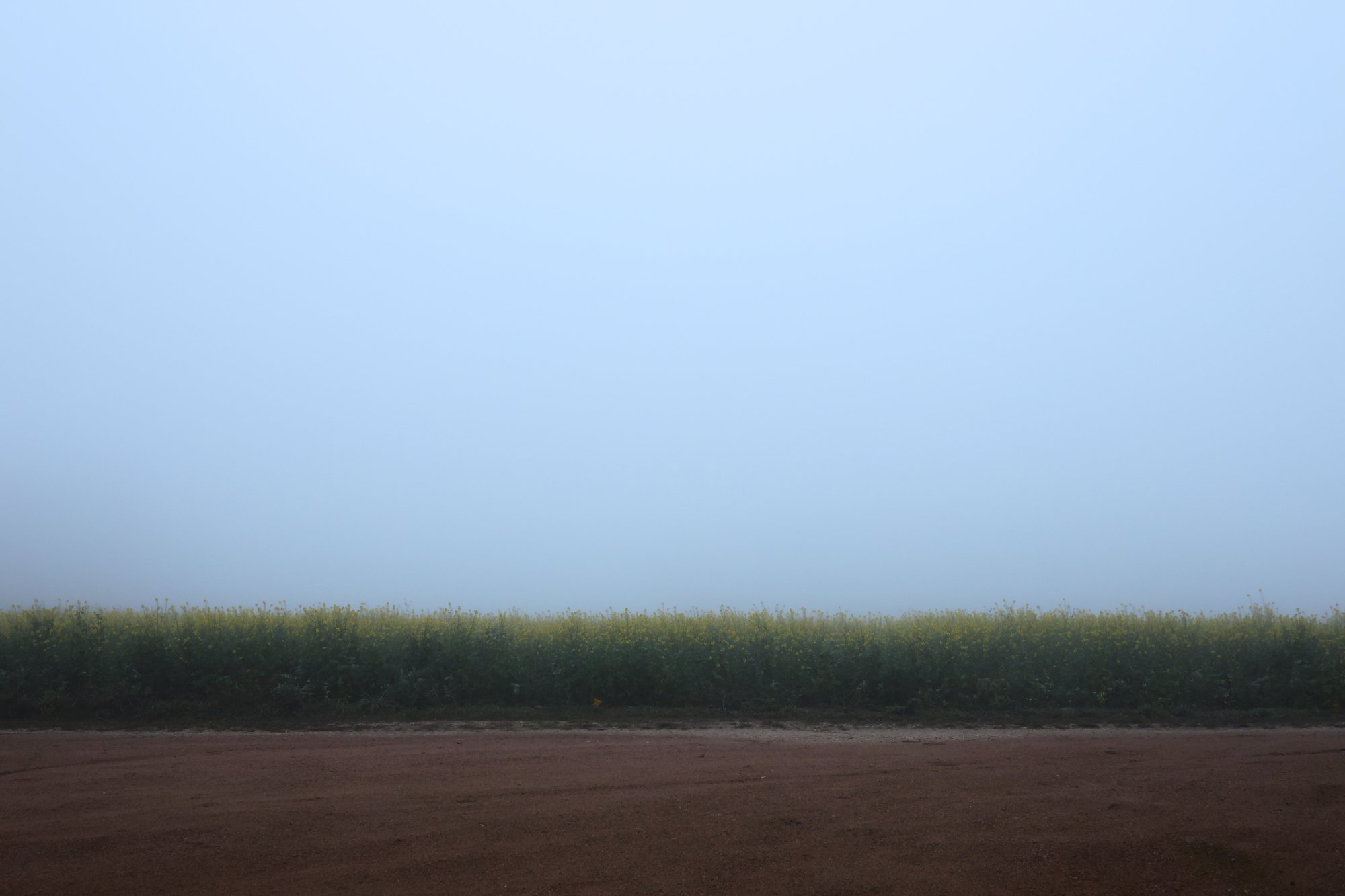 Zwischen Nebel und Restlicht – Ausflug ins Ungewisse