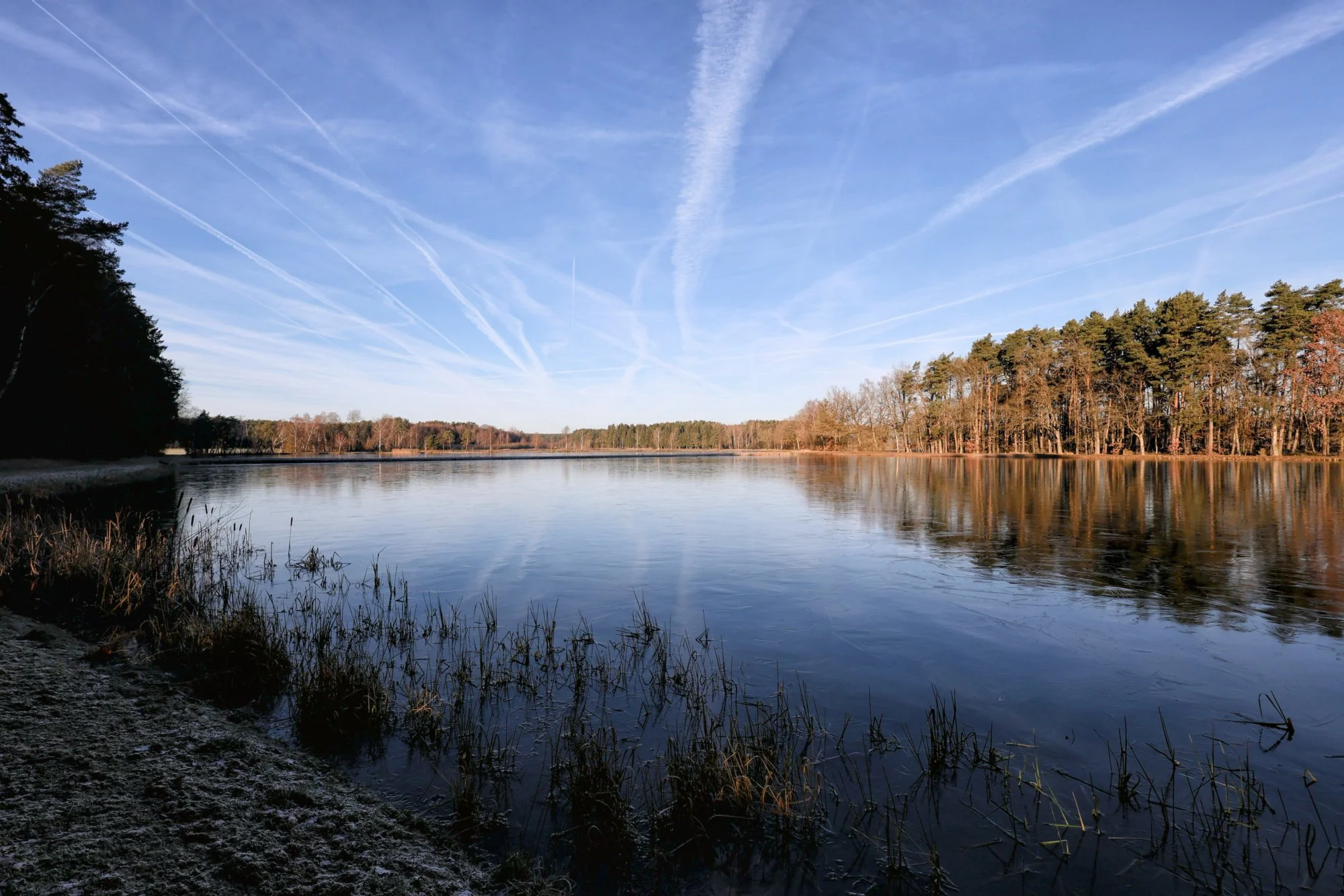 Bilder von heute Früh am Weiher