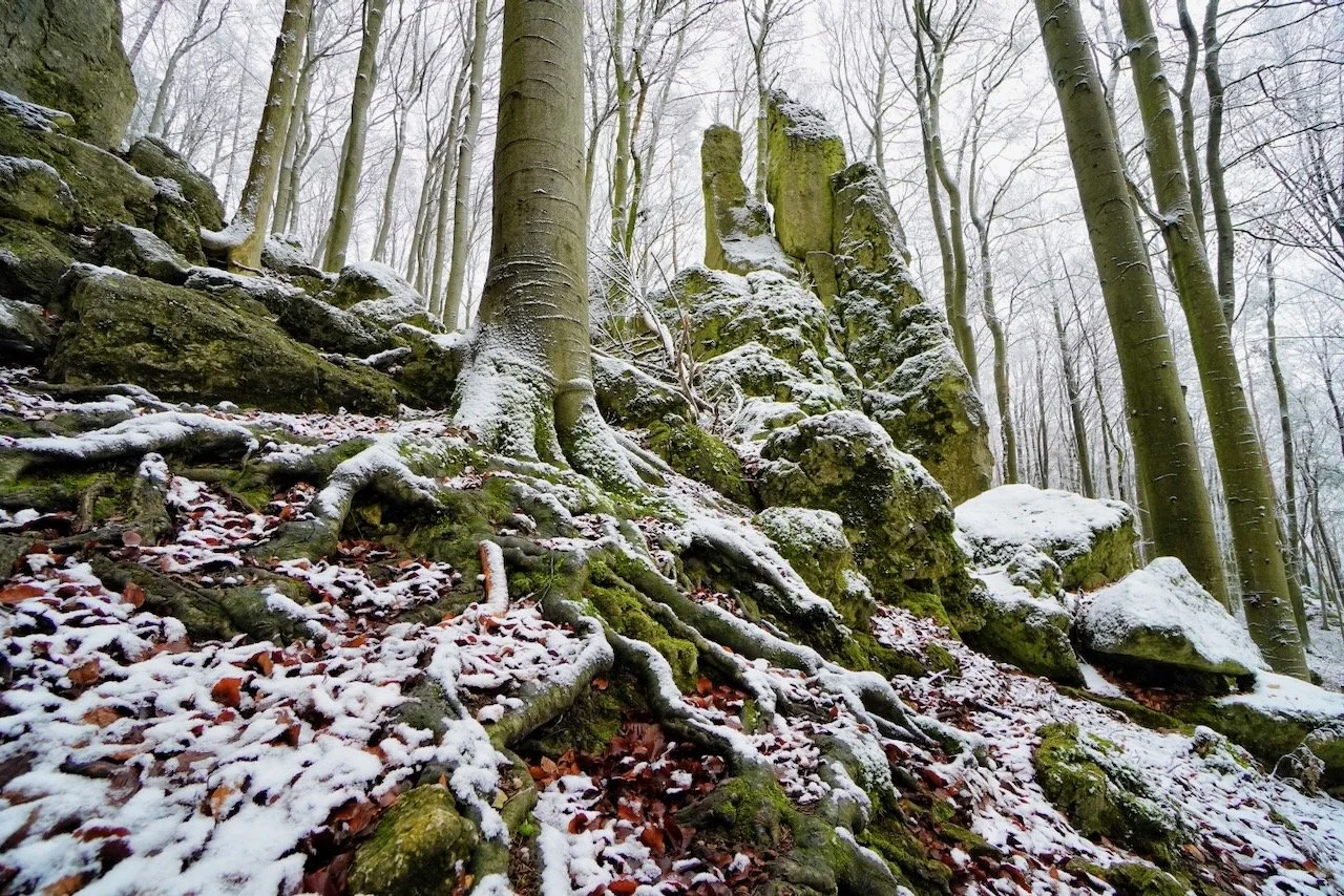 Warum heißt es eigentlich Fränkische Schweiz?