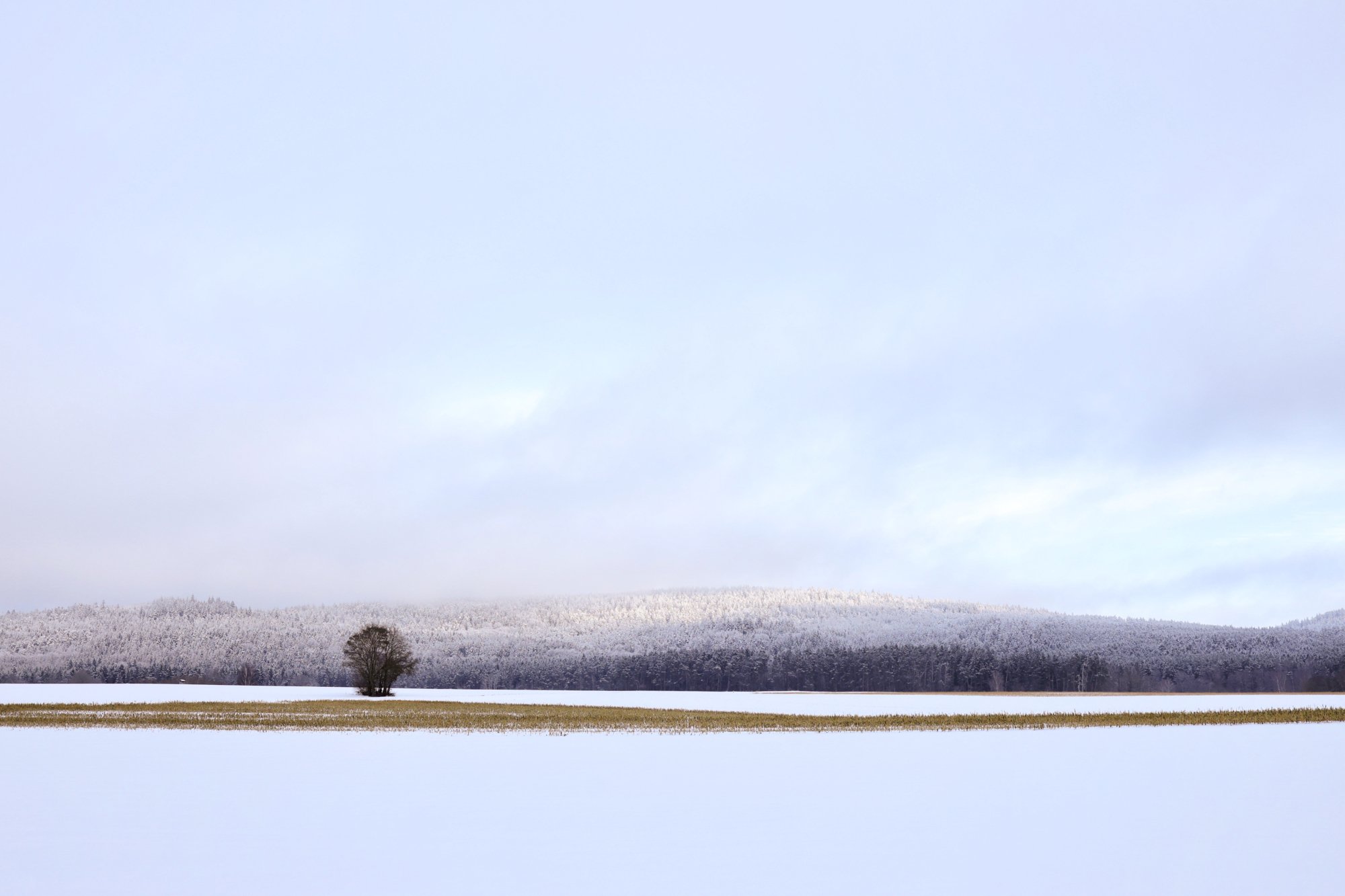 So nah und doch so fern