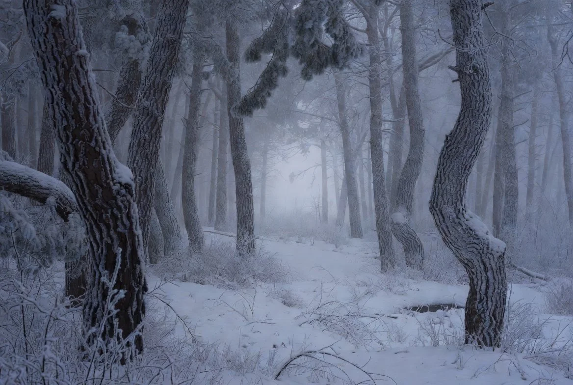 Wetter. KI schlägt klassische Modelle?