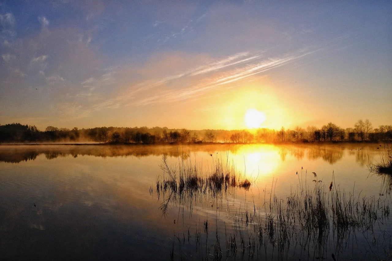 Die zwei Riesen der Oberpfälzer Natur