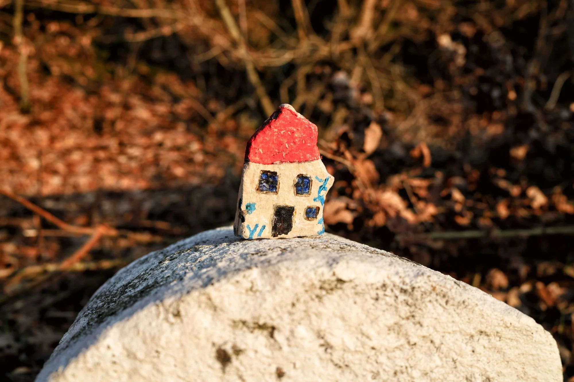 Fotos, heute von draussen