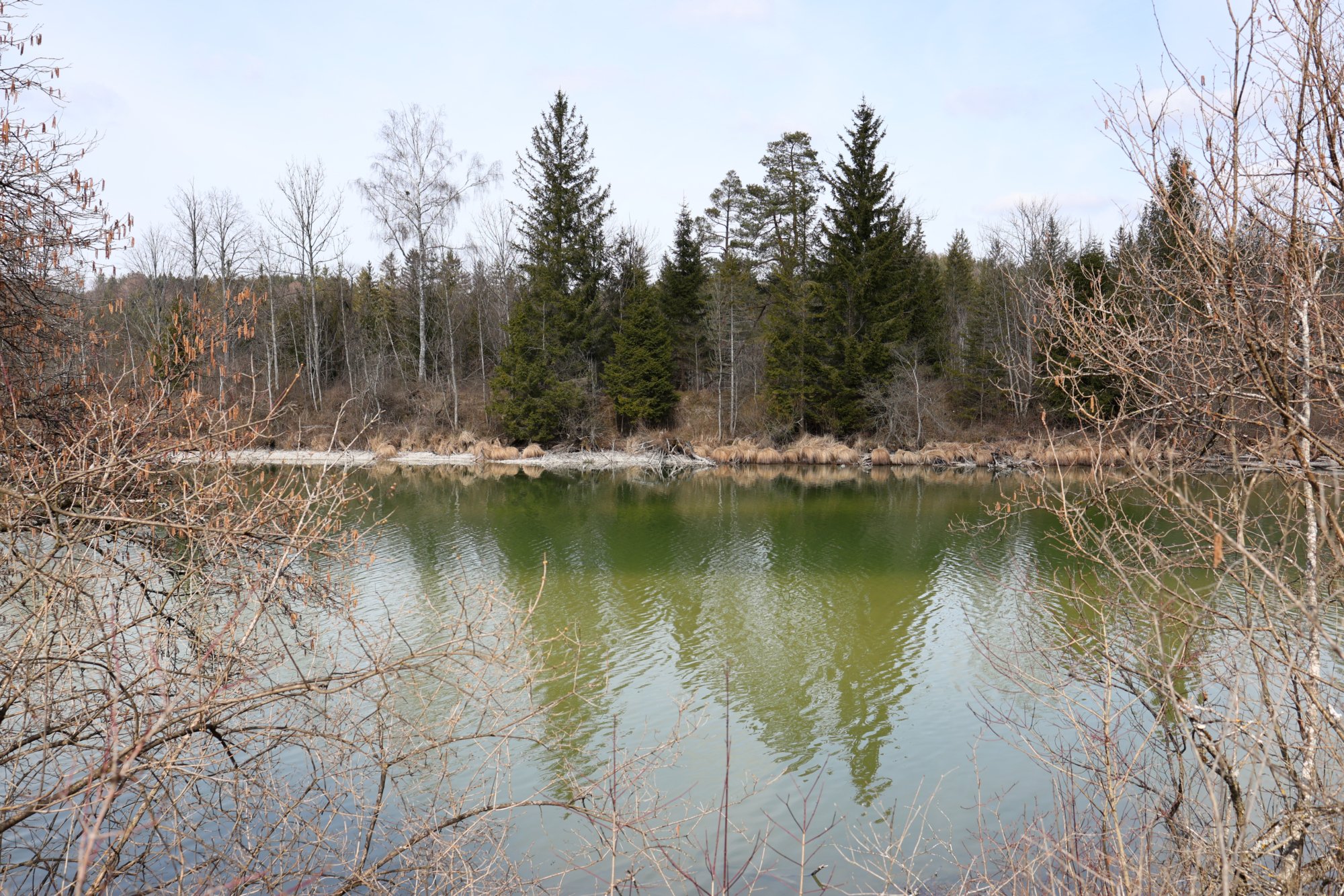 Idylle pur: Ein Vormittag am Ickinger Eisweiher