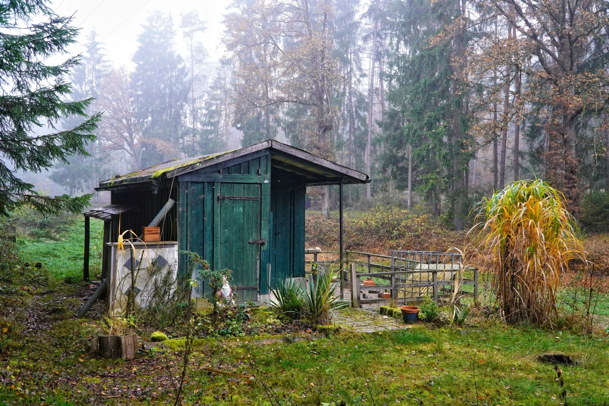 Die kleine grüne Hütte im Nebelwald – Versteckte Idylle
