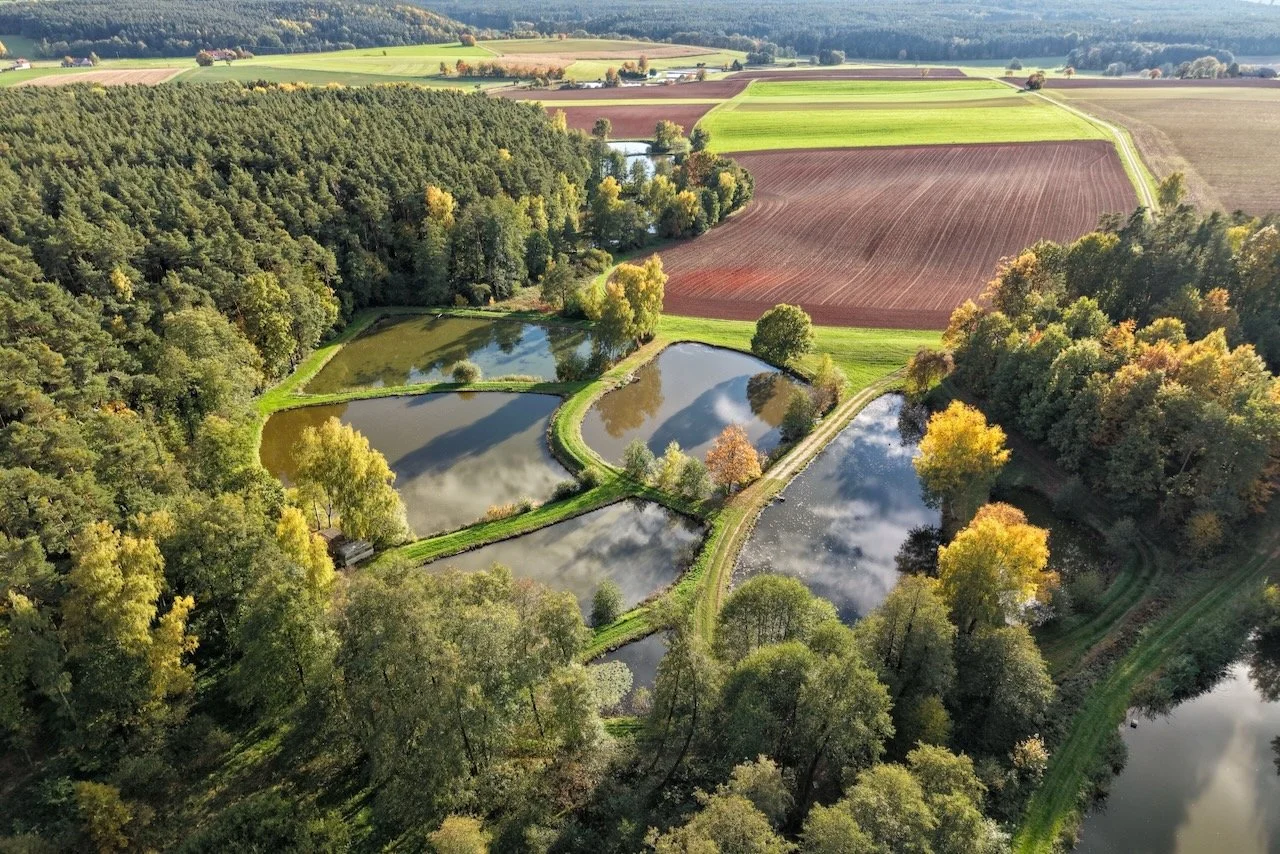 Herbstjuwel aus der Vogelperspektive – Verborgene Teichlandschaft im goldenen Wald